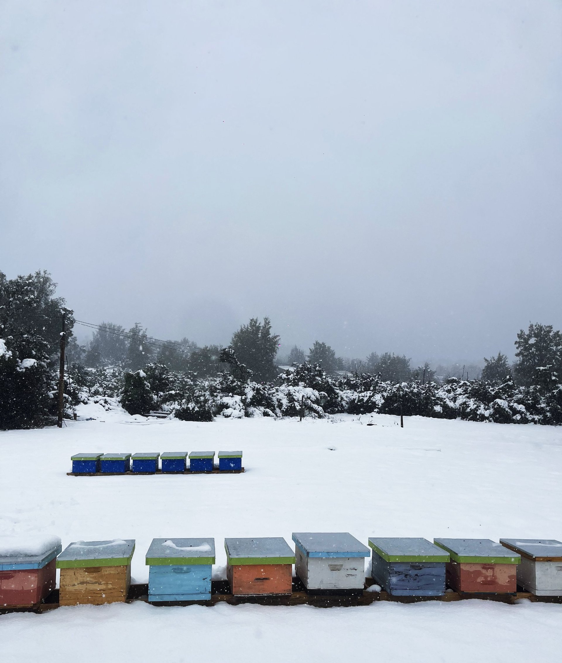 mountain range under blue sky