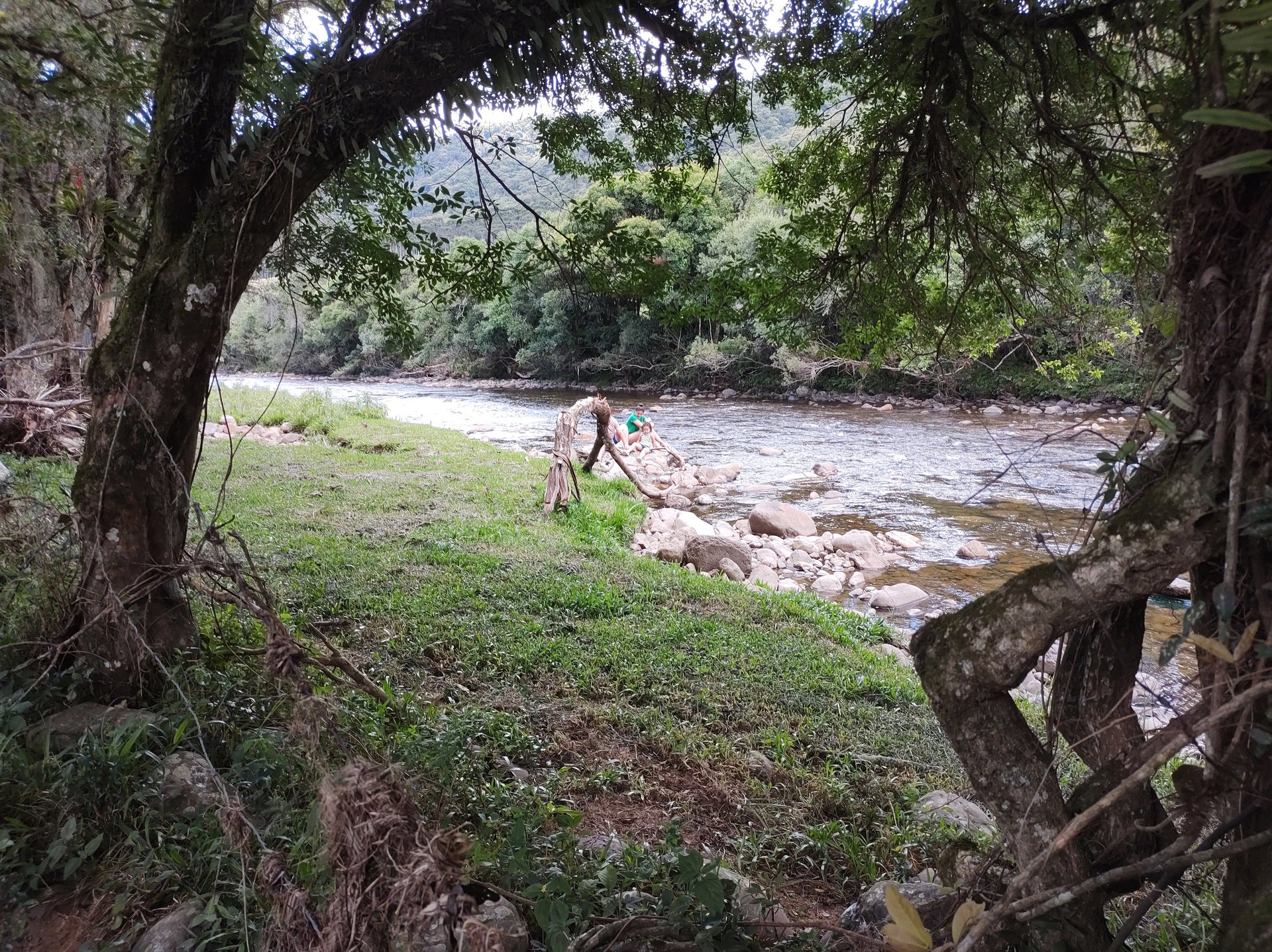 black blue and yellow textile