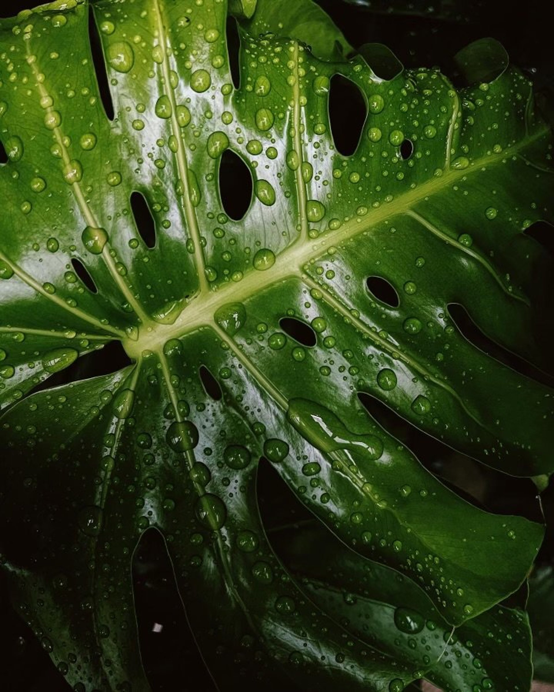 woman wearing yellow long-sleeved dress under white clouds and blue sky during daytime