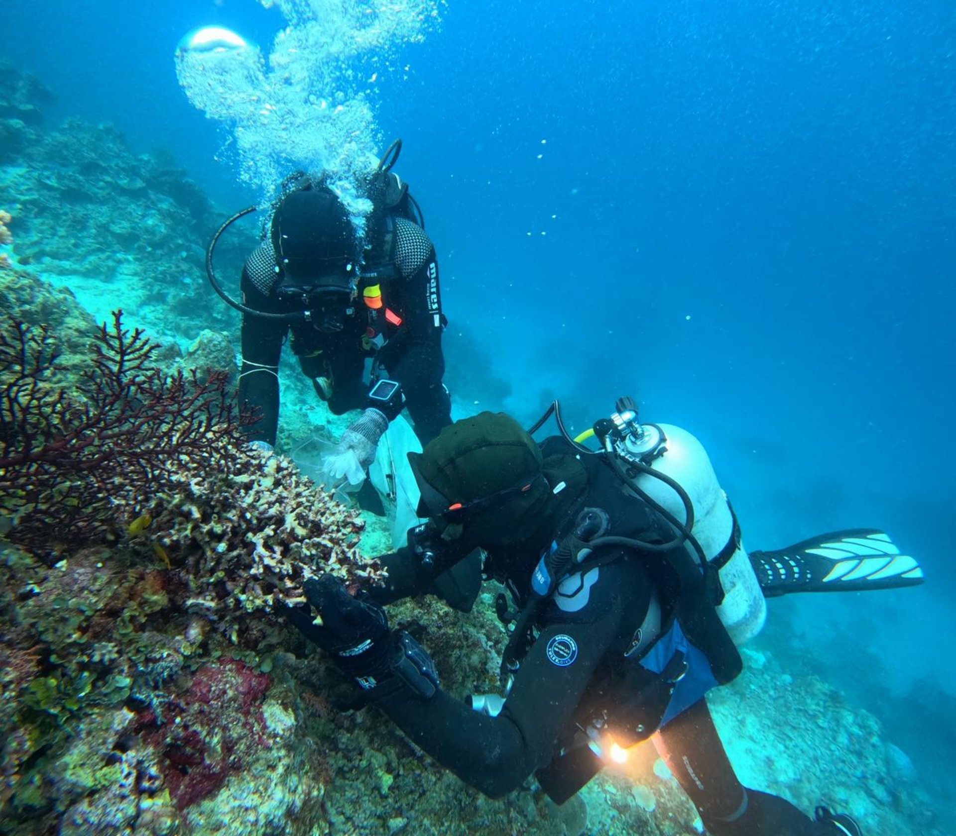 black and brown leather padded tub sofa