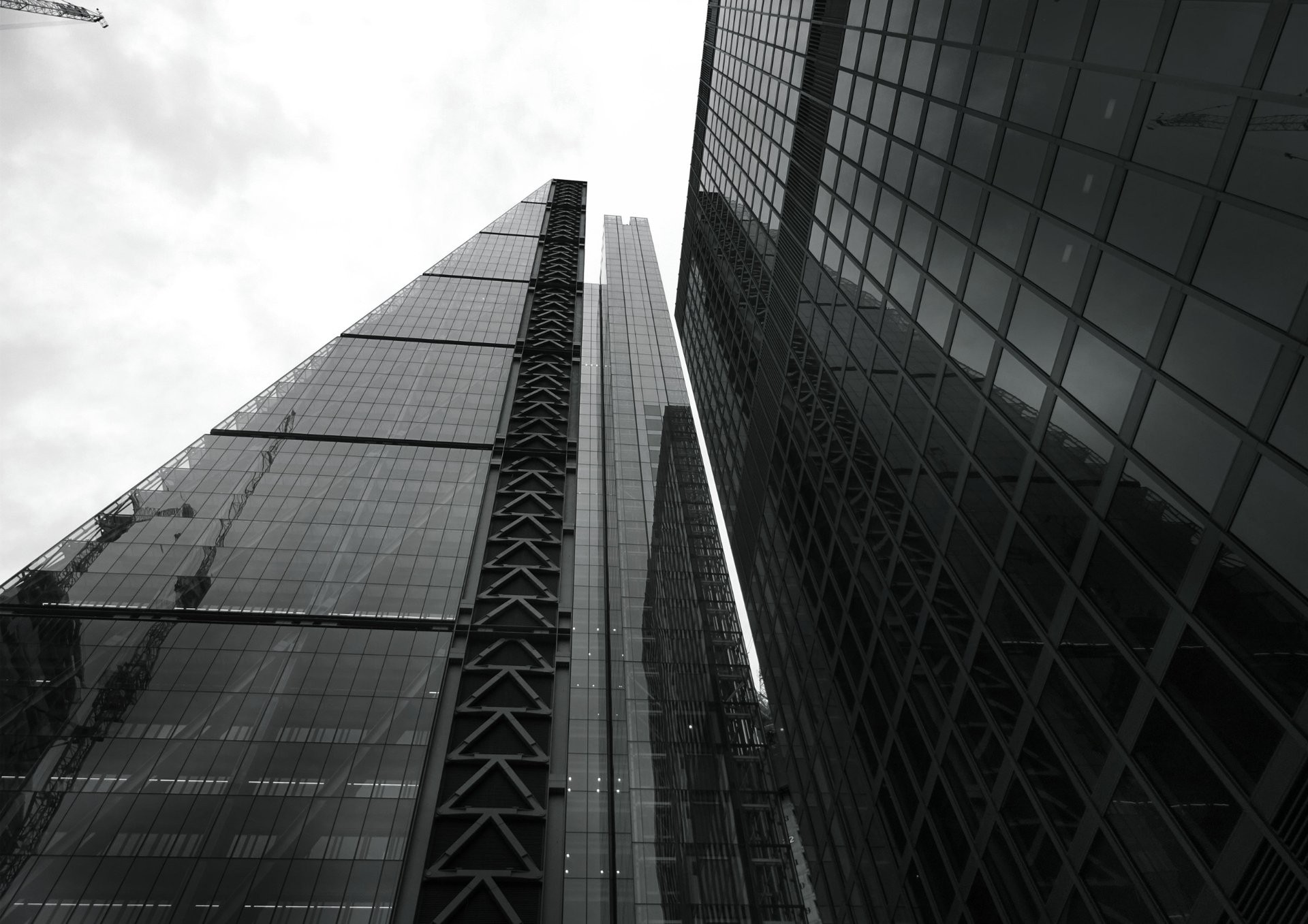 black and white bed linen