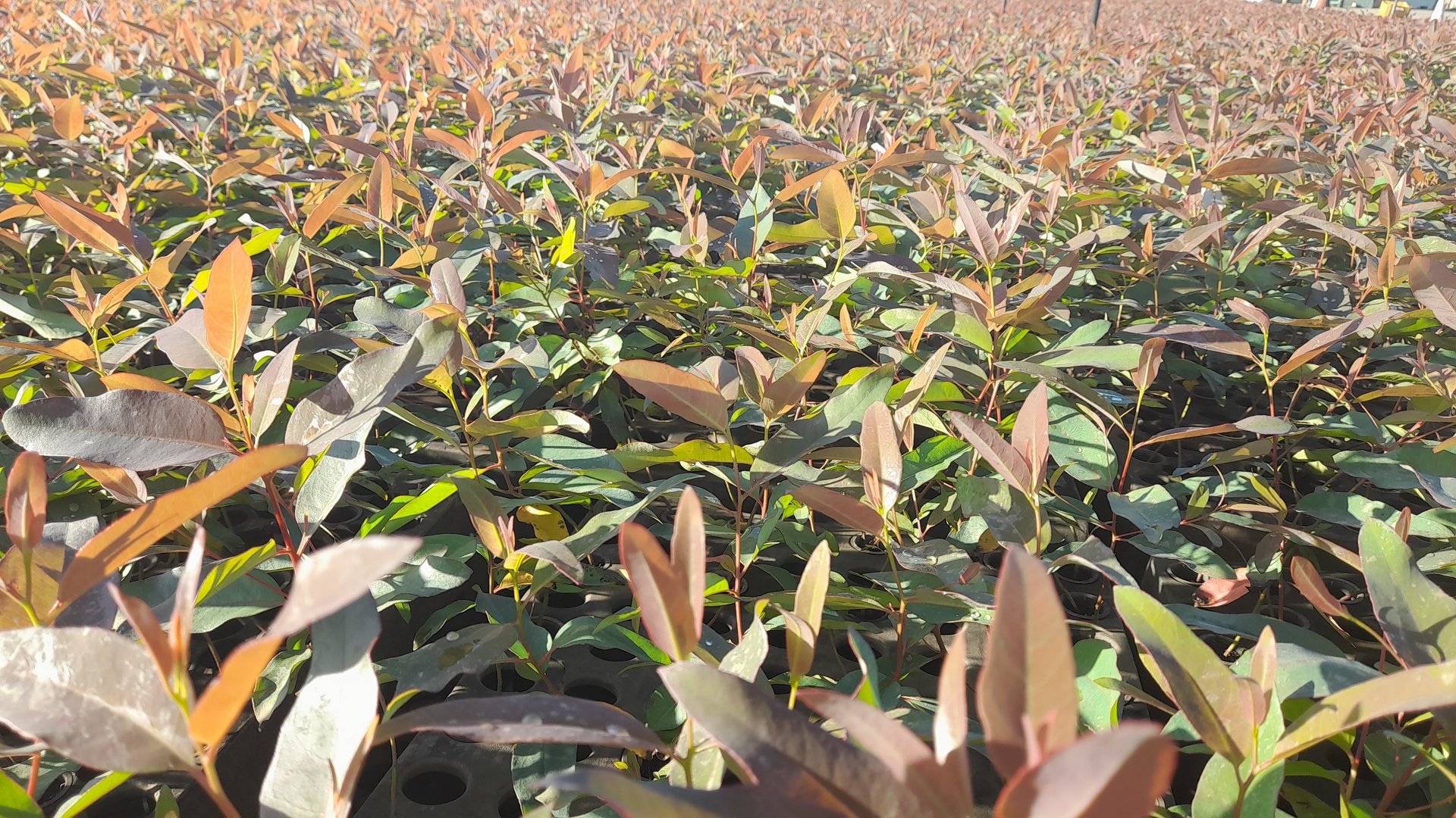 woman wearing yellow long-sleeved dress under white clouds and blue sky during daytime