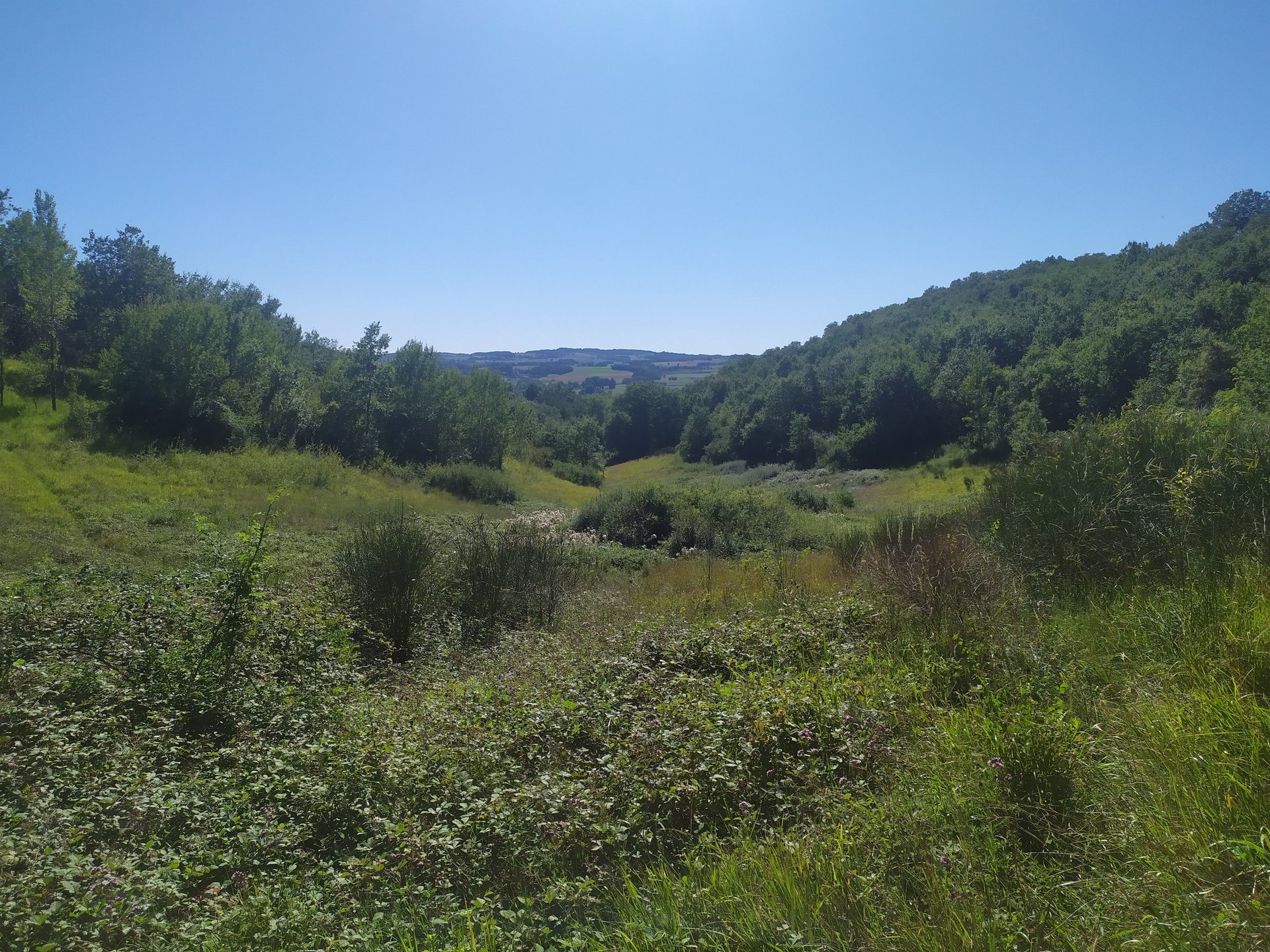 mountain range under blue sky