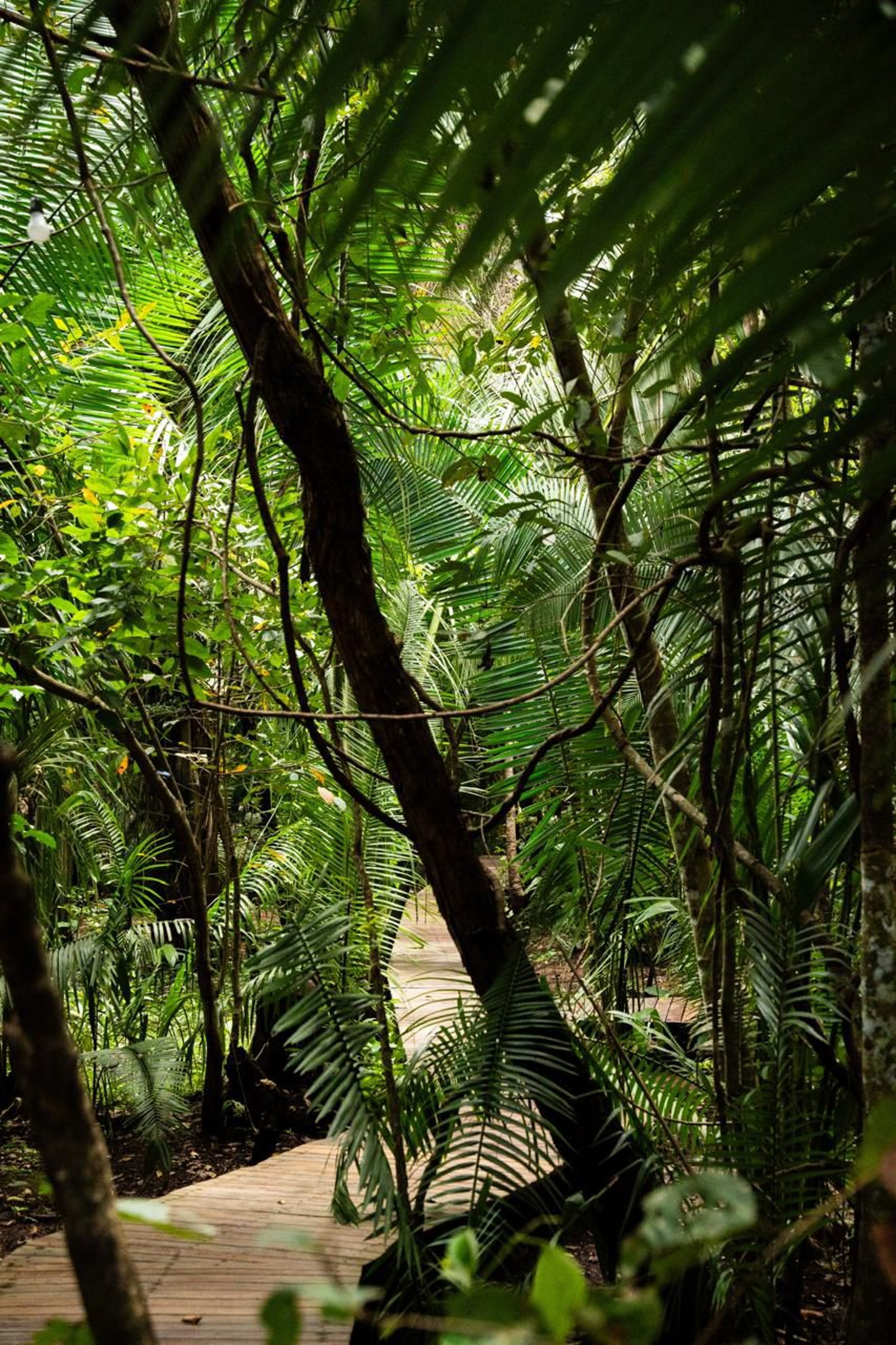 an abstract photo of a curved building with a blue sky in the background