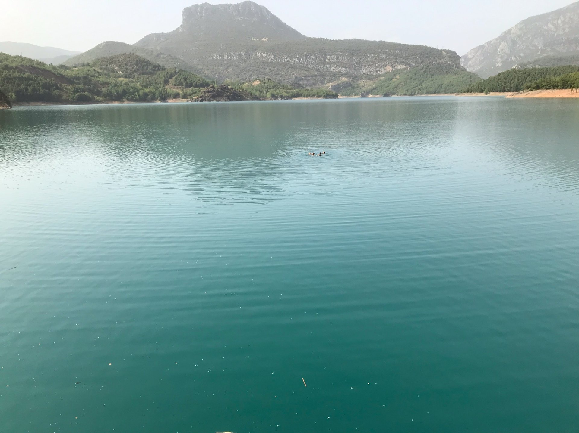 red blue and black abstract painting