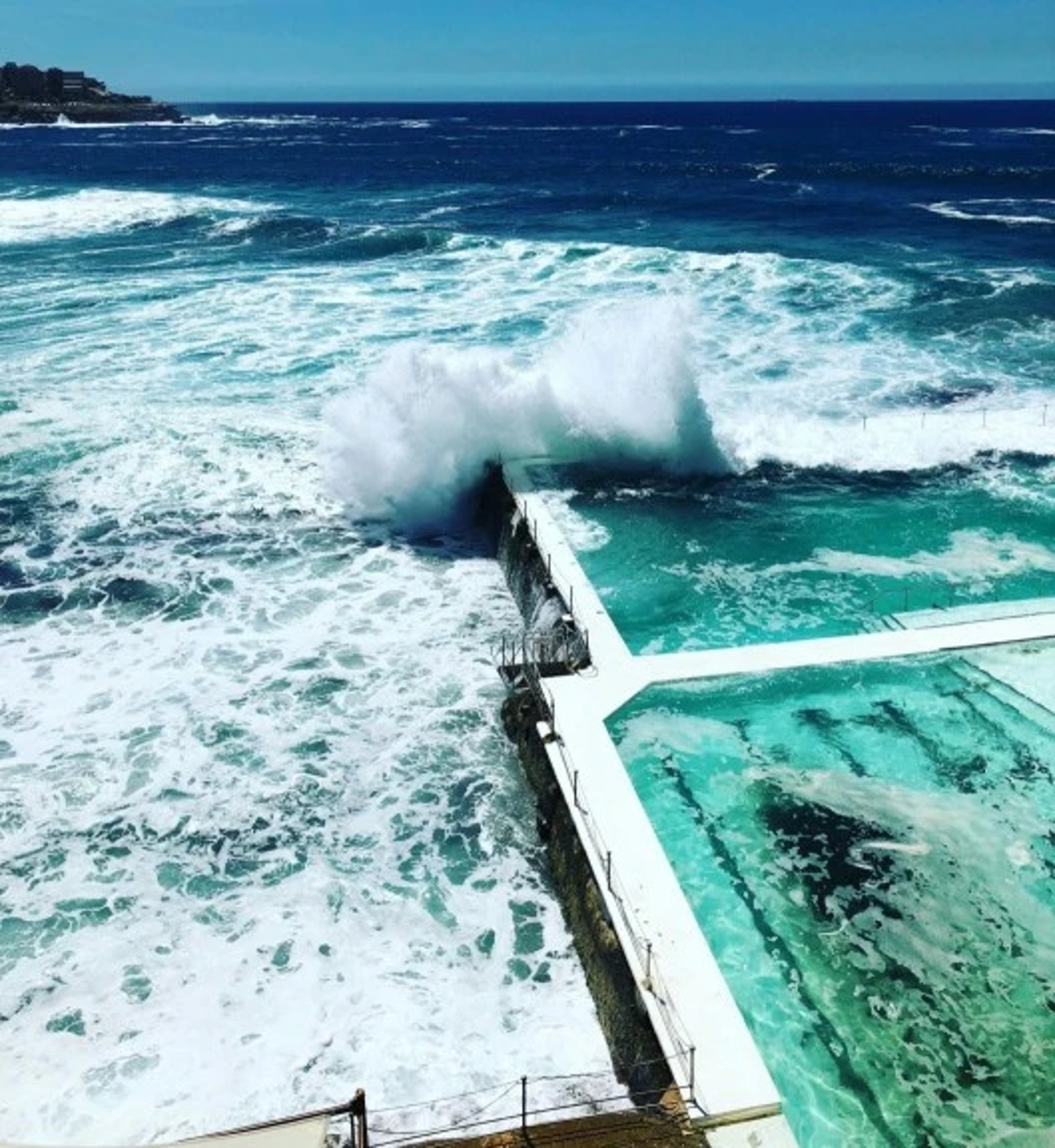 Bondi Beach Piscine Summer Rolls Rouleuax de printemps maki rolls sushi rolls