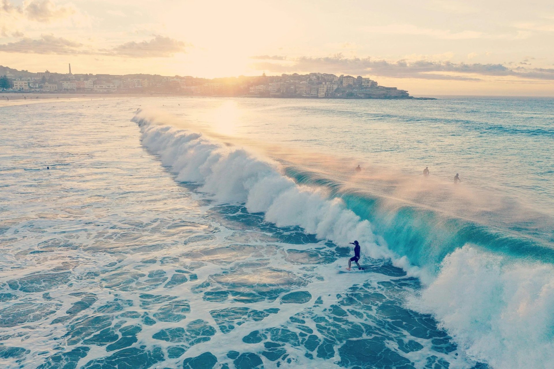 Bondi Beach Surf Summer Rolls Rouleaux de printemps maki sushi rolls