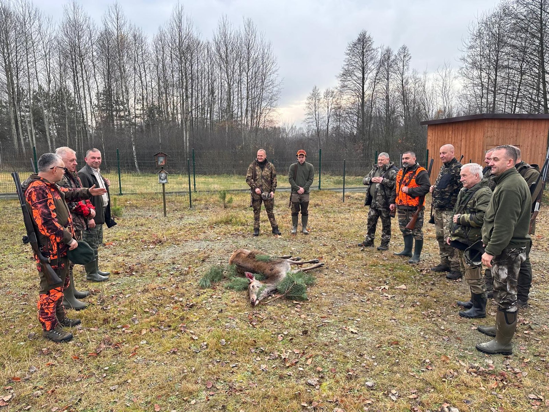 aerial shot of road surrounded by green trees