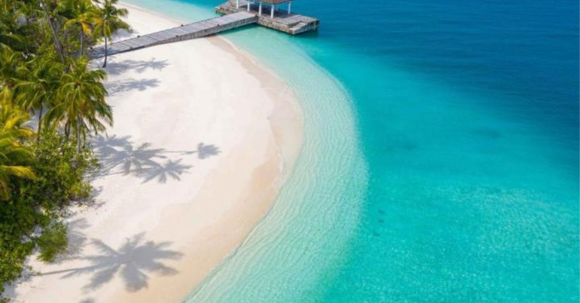 seashore during golden hour