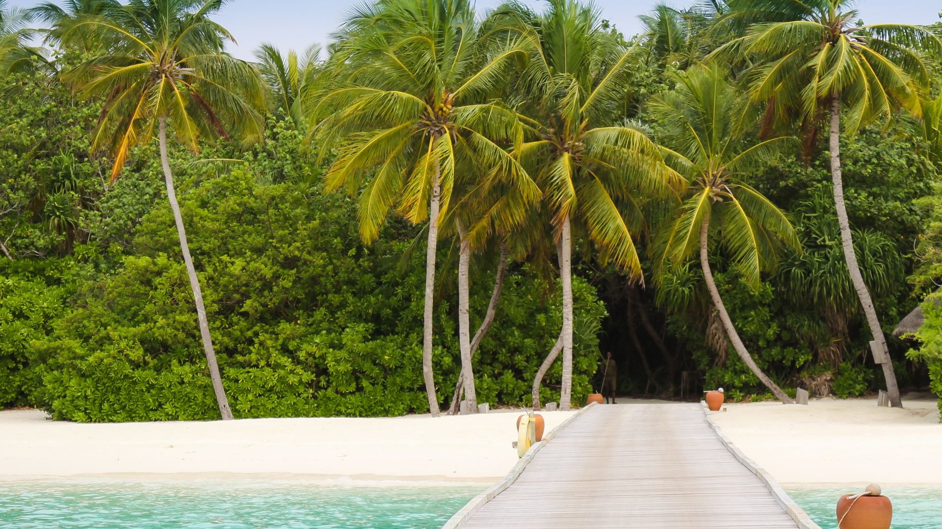 green palm trees near swimming pool during daytime