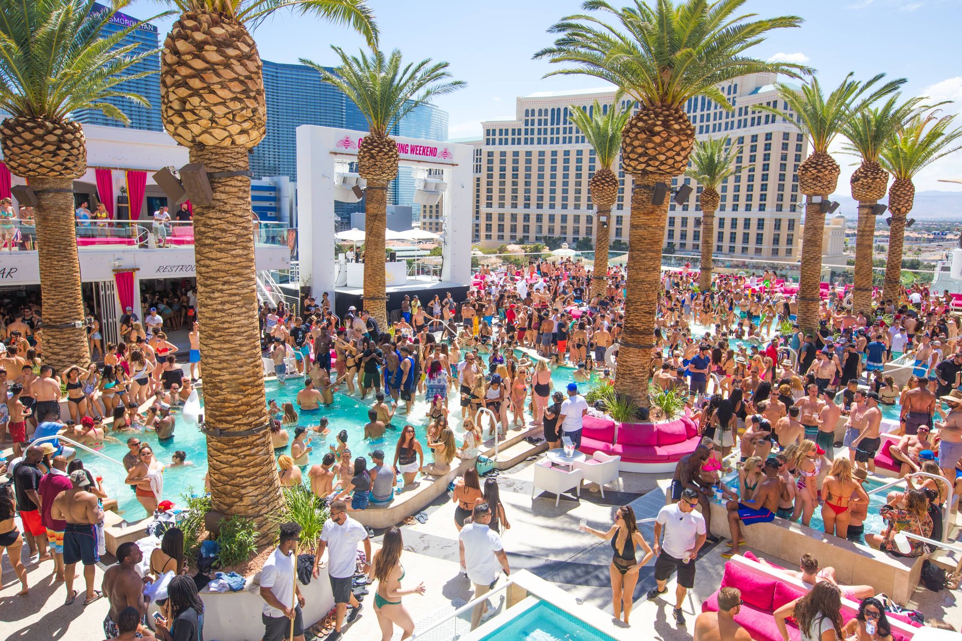 The ultimate Las Vegas dayclub crawl with skip-the-line entry and unforgettable parties.