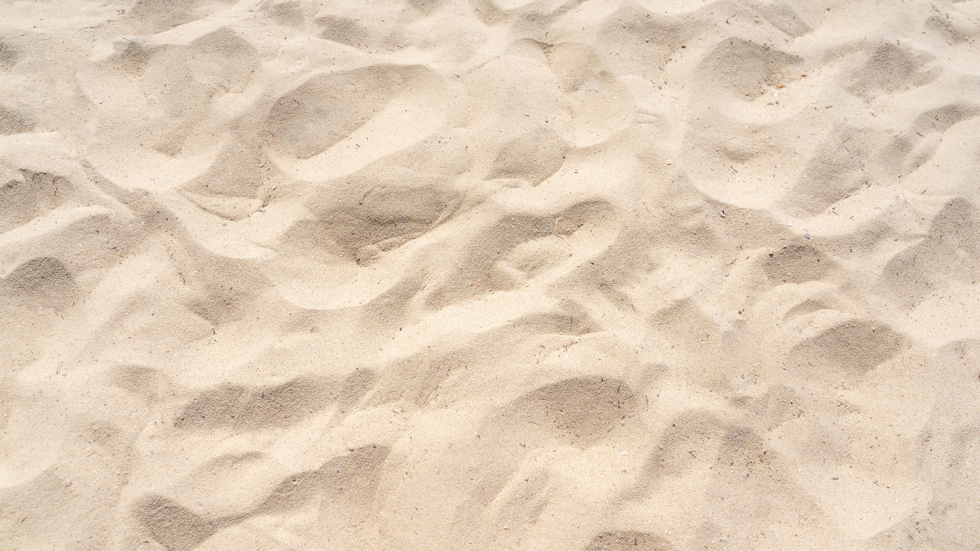 focus photo of brown sand
