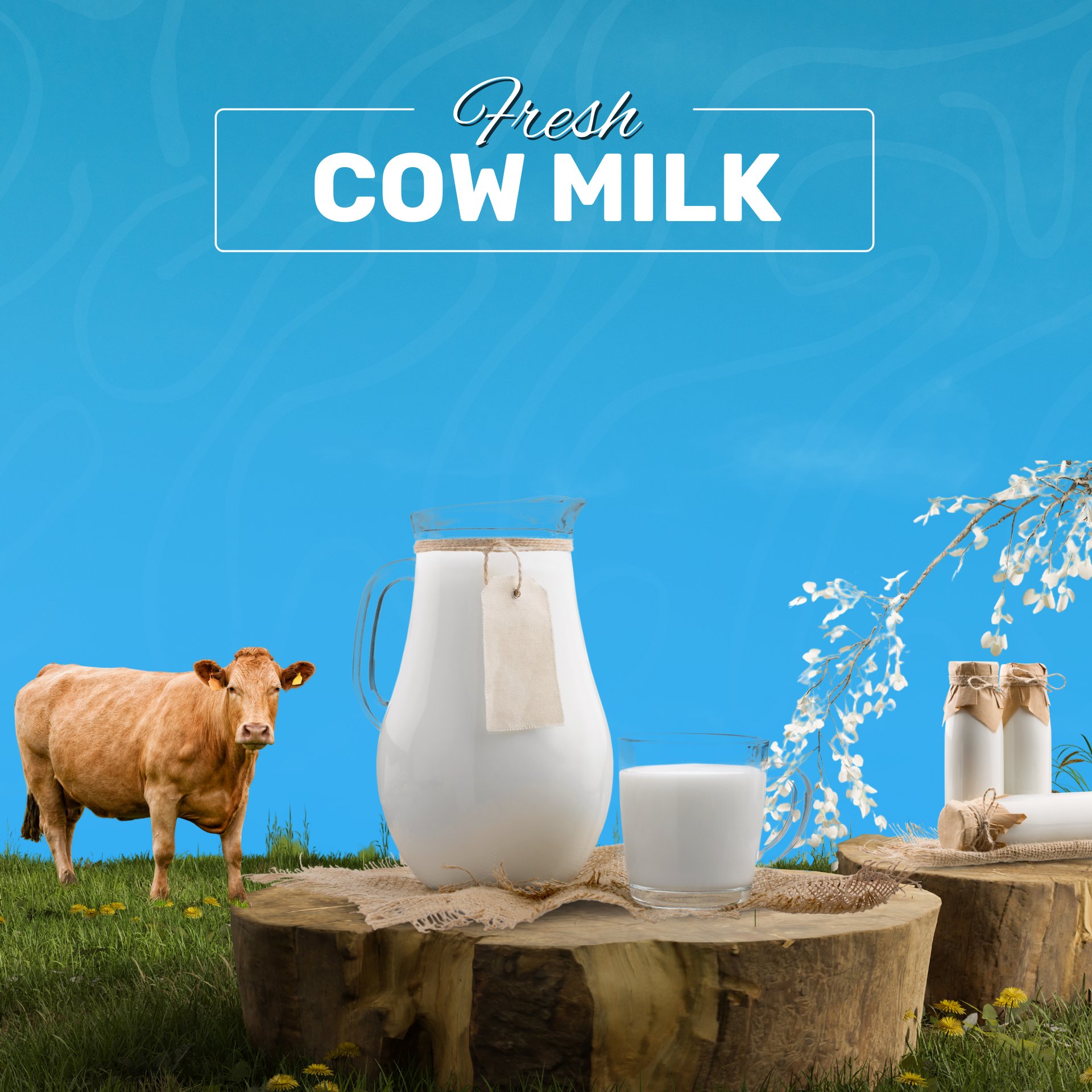 black and white bed linen