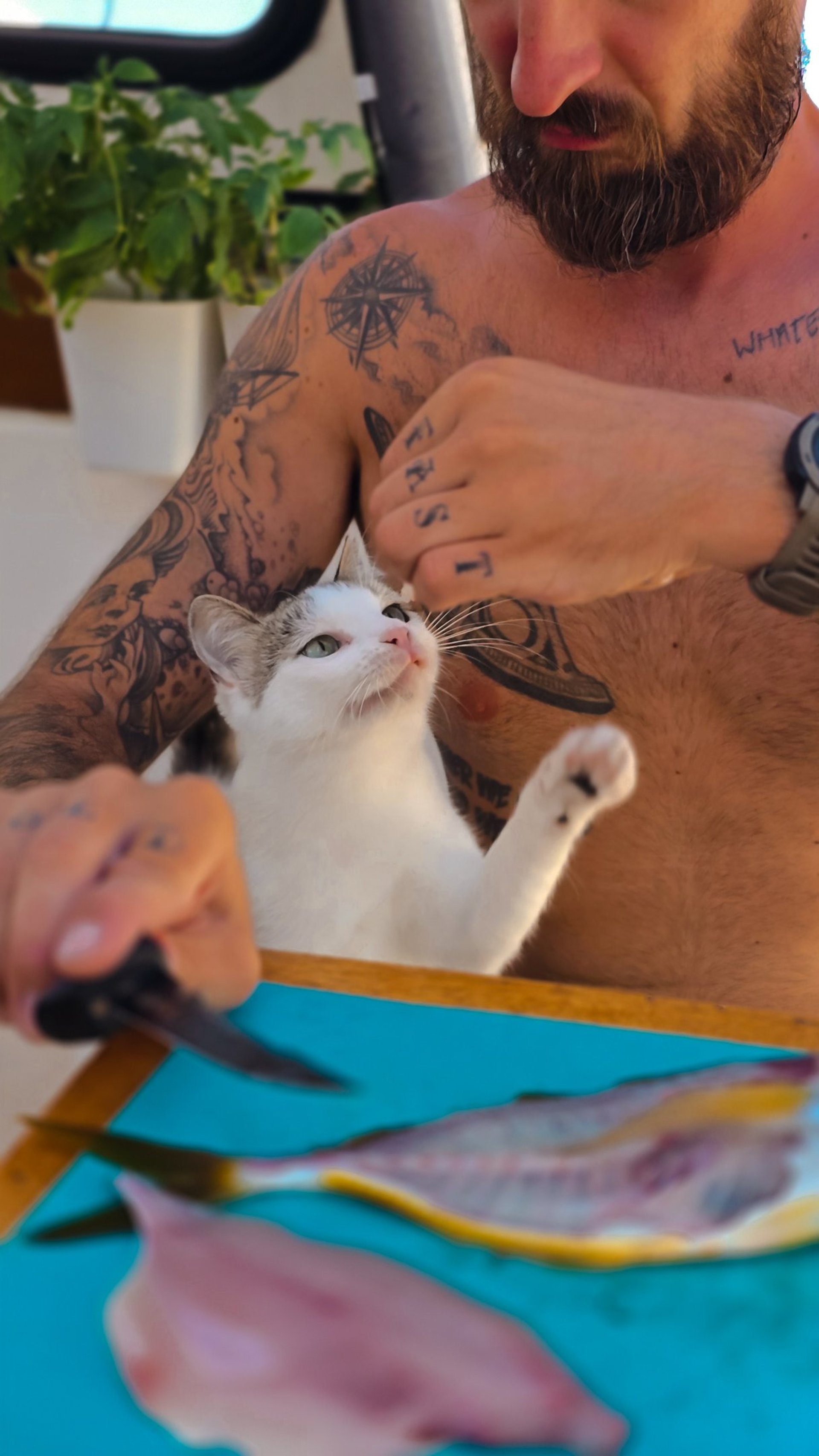 an abstract photo of a curved building with a blue sky in the background