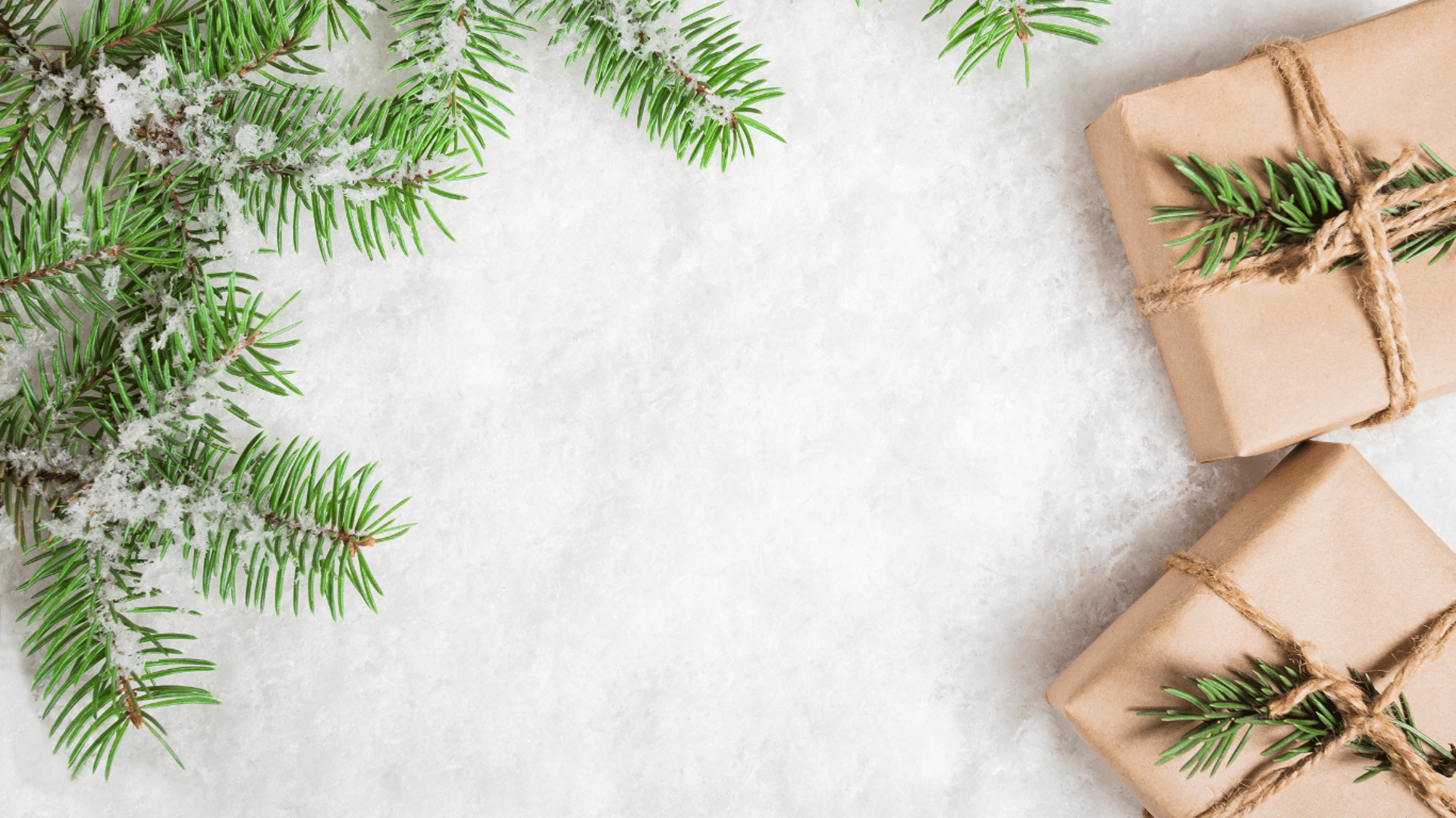 couple wearing silver-colored rings