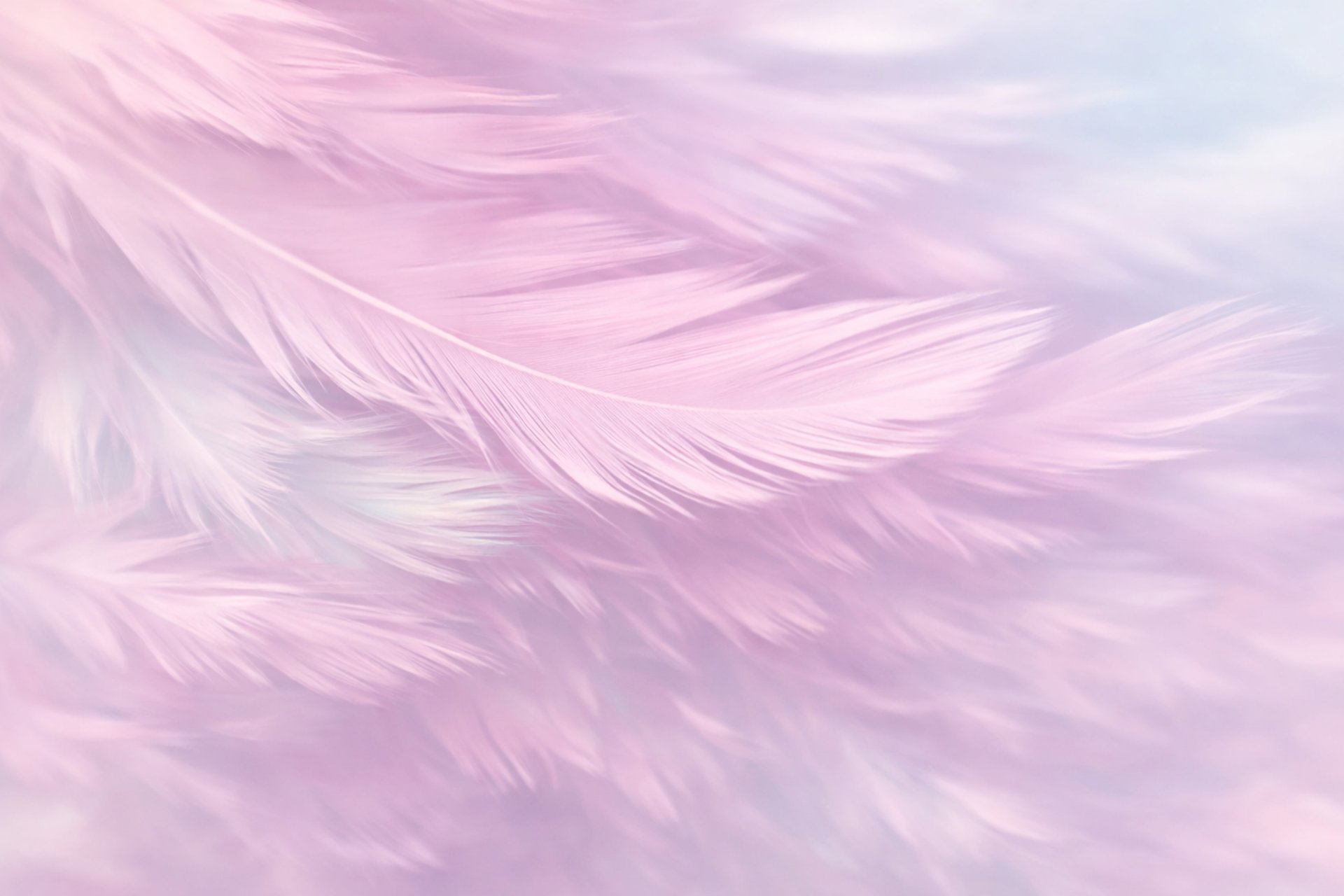 A close up of a large piece of art