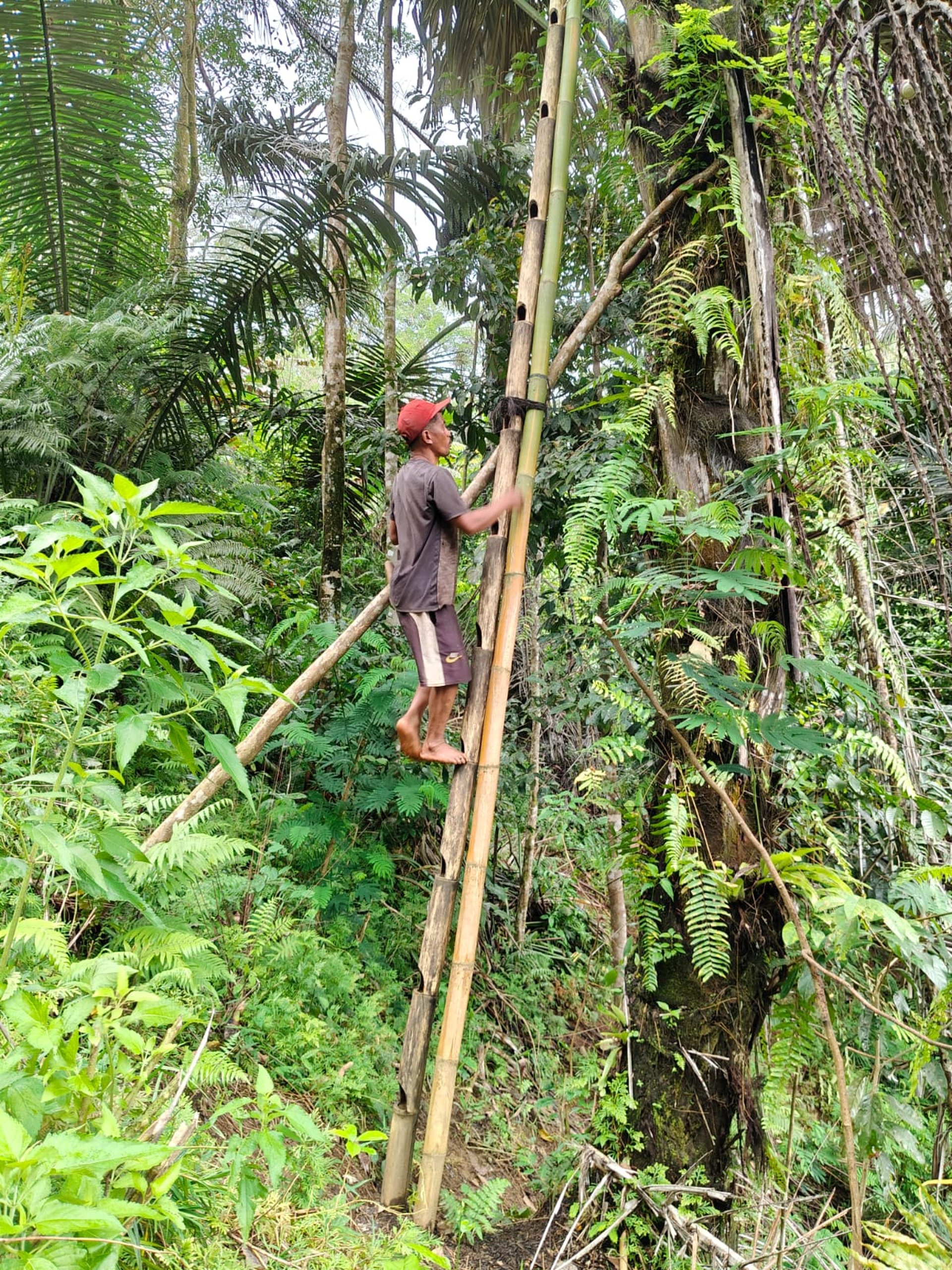 black and white bed linen