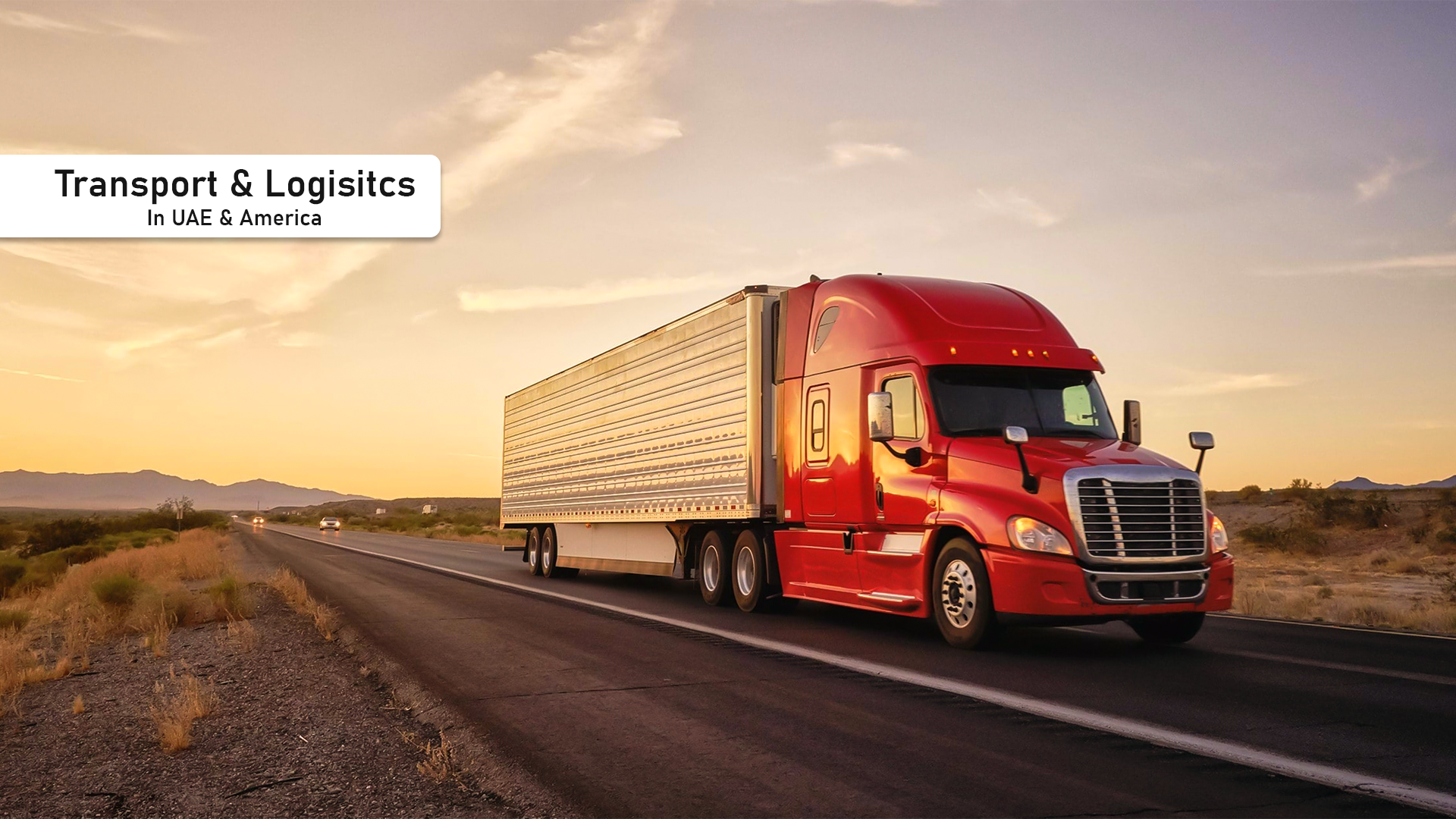 Transport and Logistics in America and Dubai