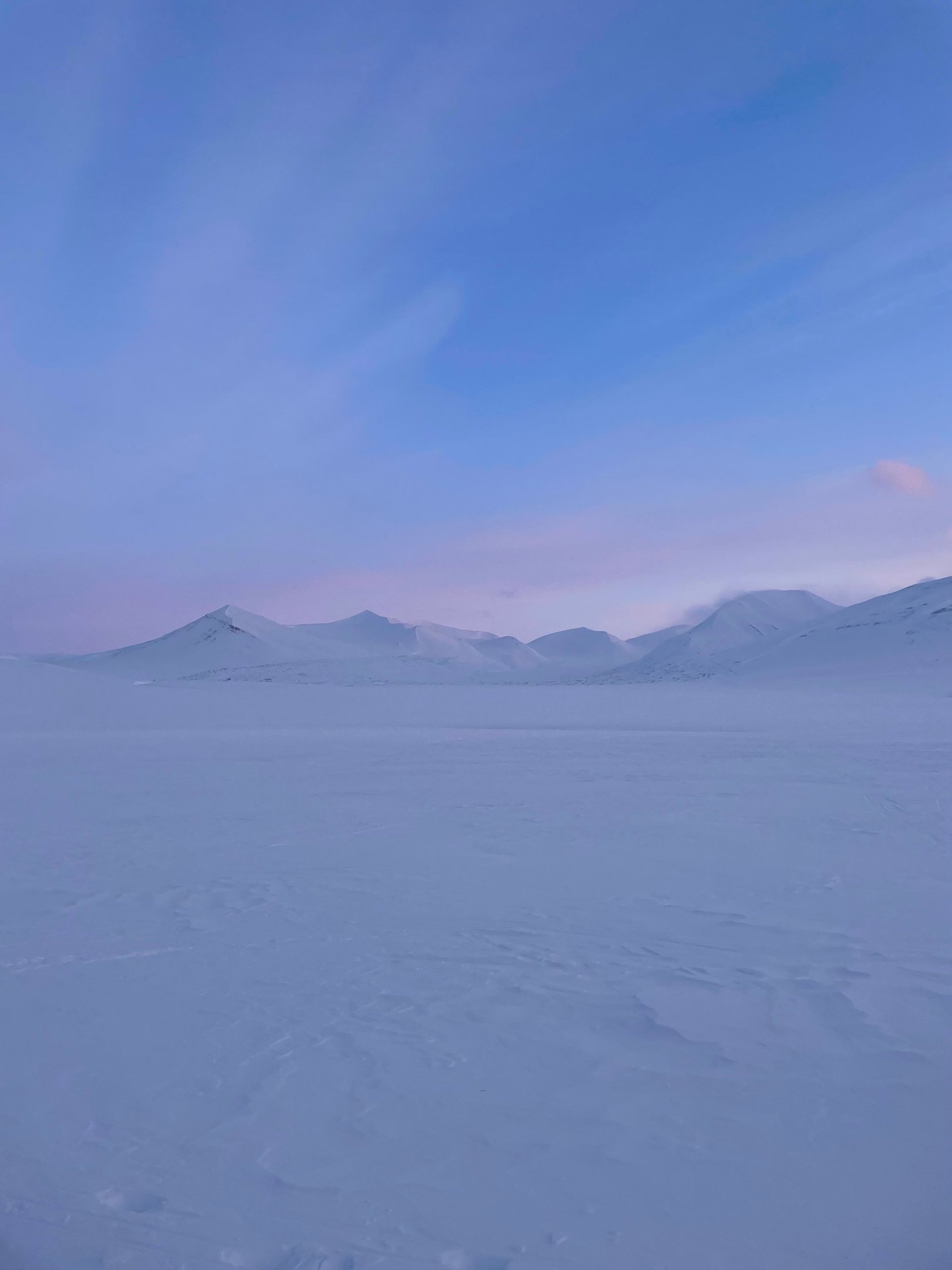 a close up of a black and brown abstract painting