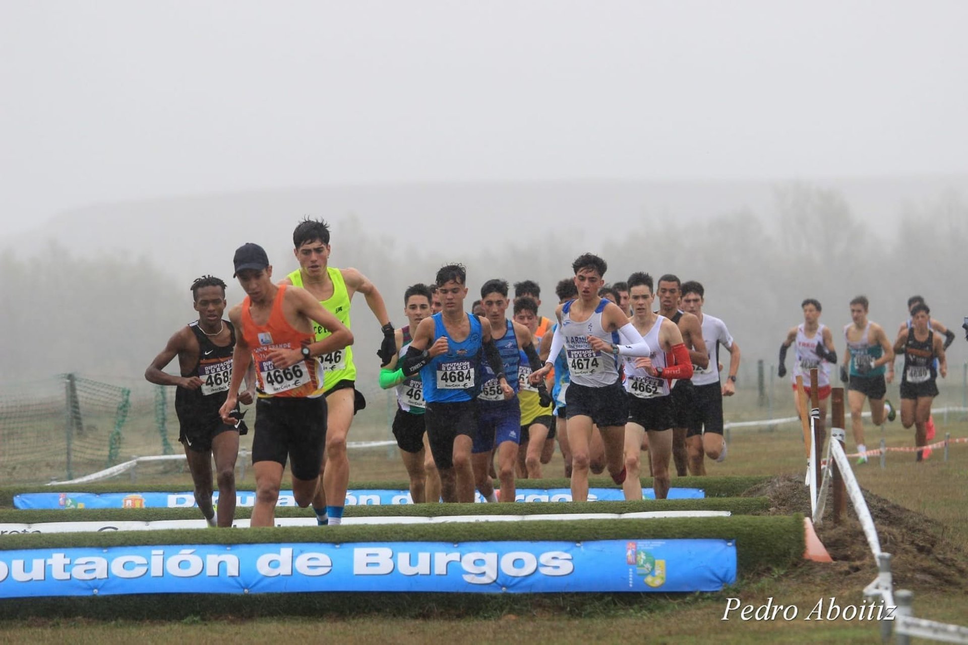 woman wearing yellow long-sleeved dress under white clouds and blue sky during daytime