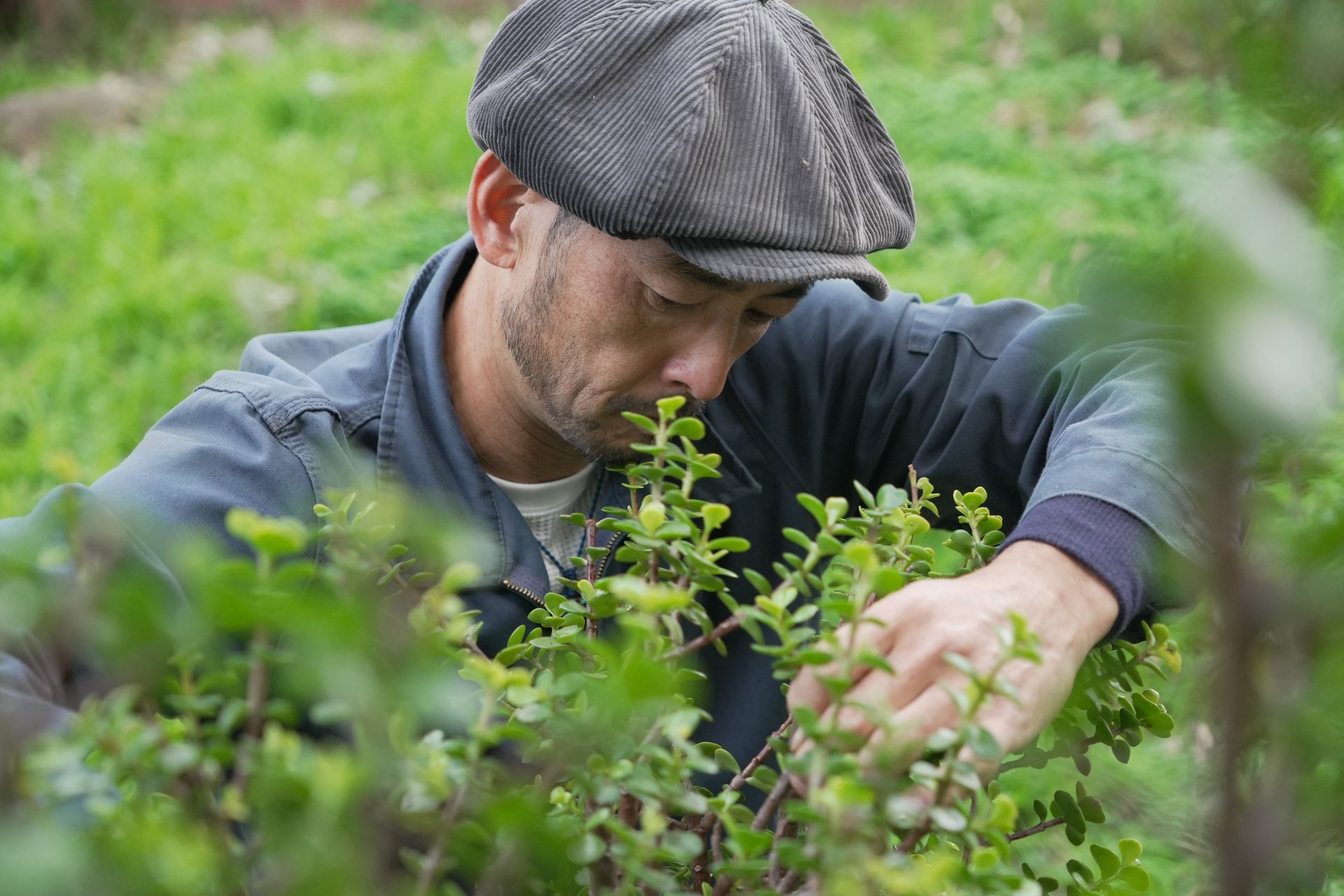 a close up of a black and brown abstract painting