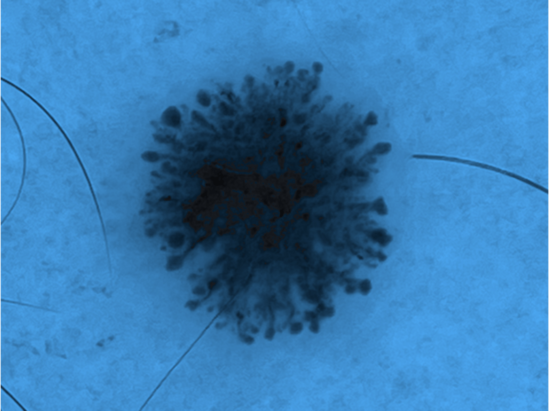 black and brown leather padded tub sofa