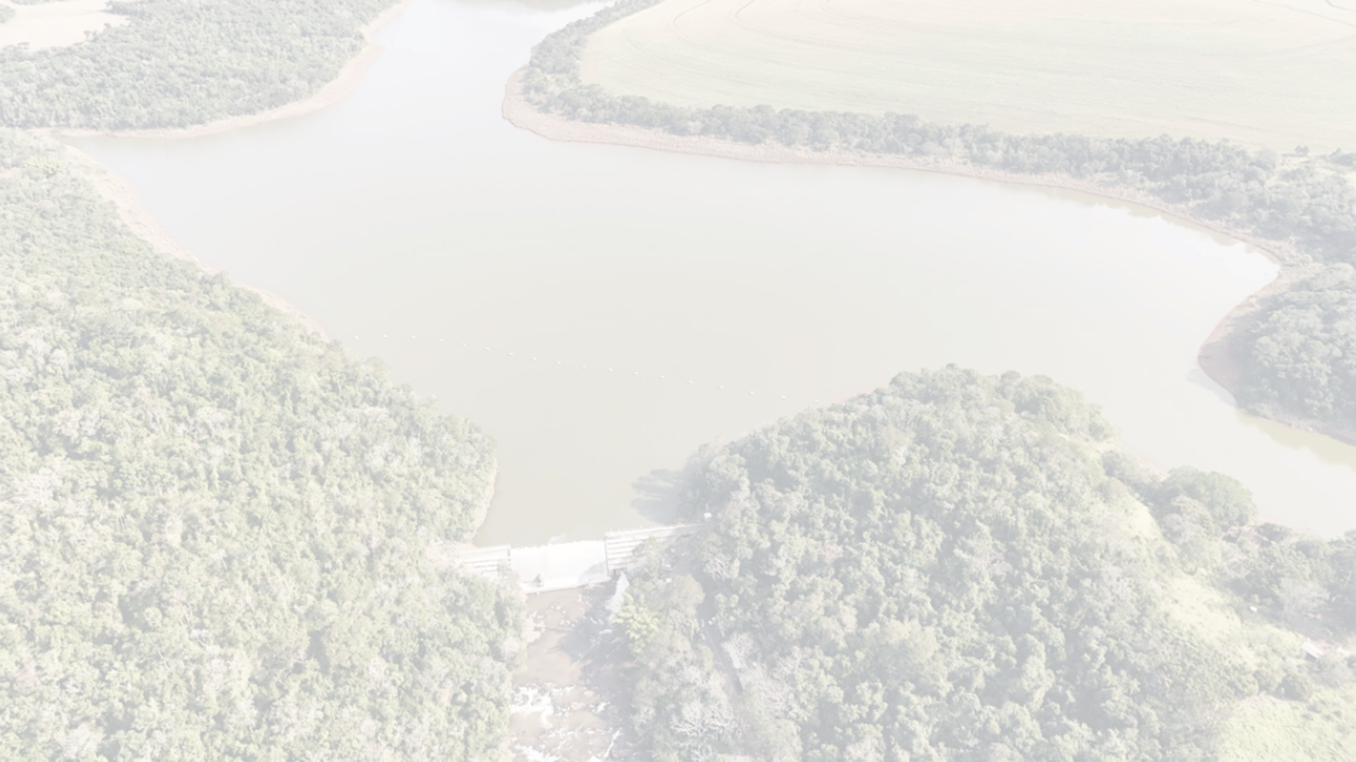 gray computer monitor