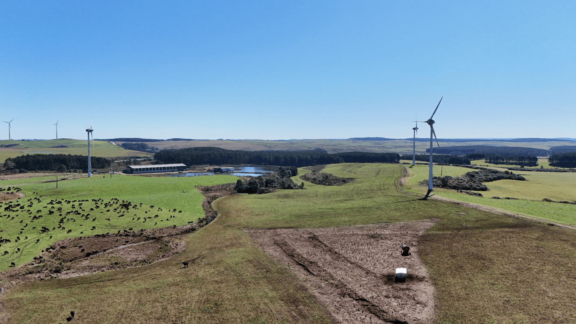 an abstract photo of a curved building with a blue sky in the background