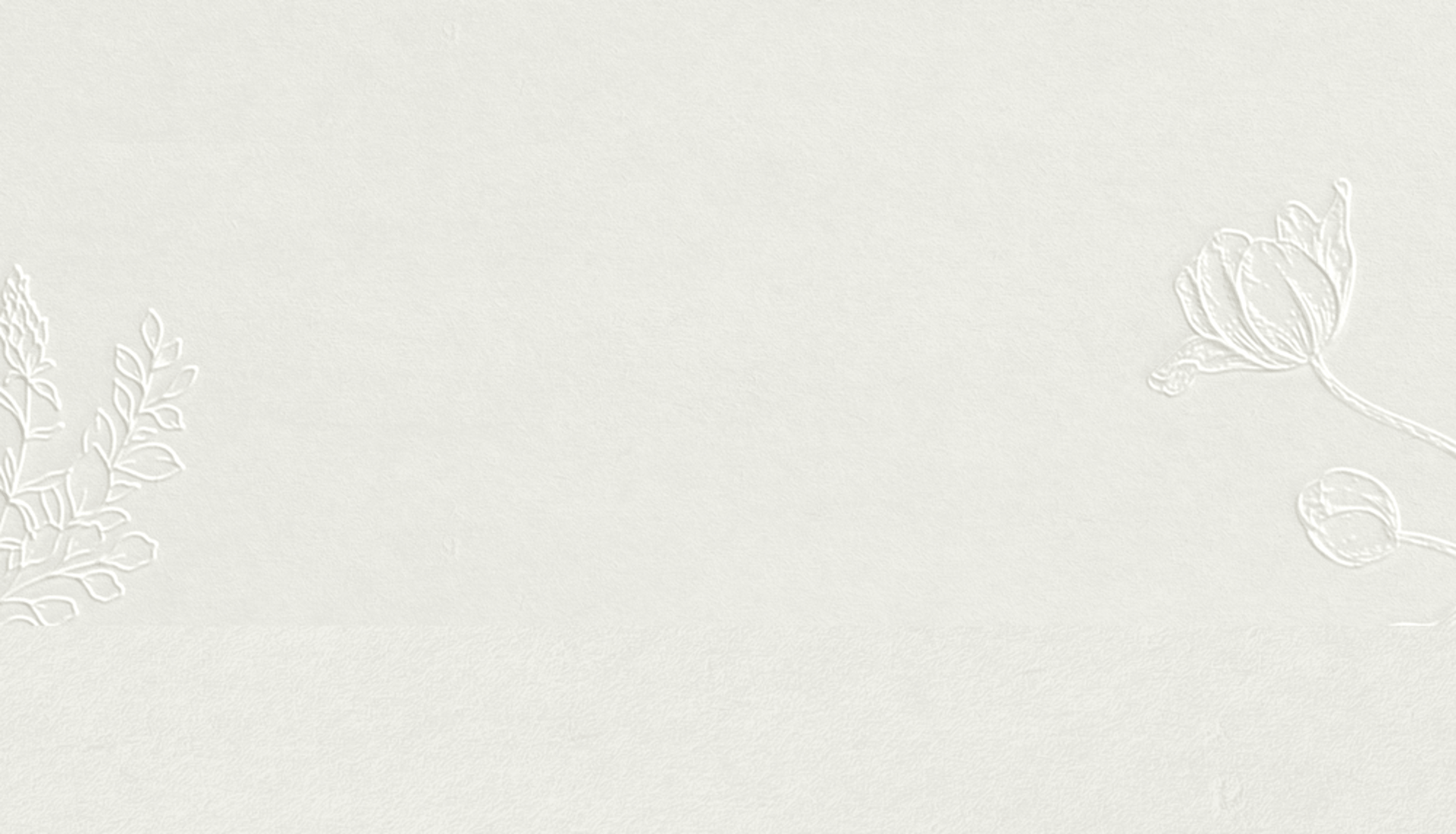 white wall paint with black line