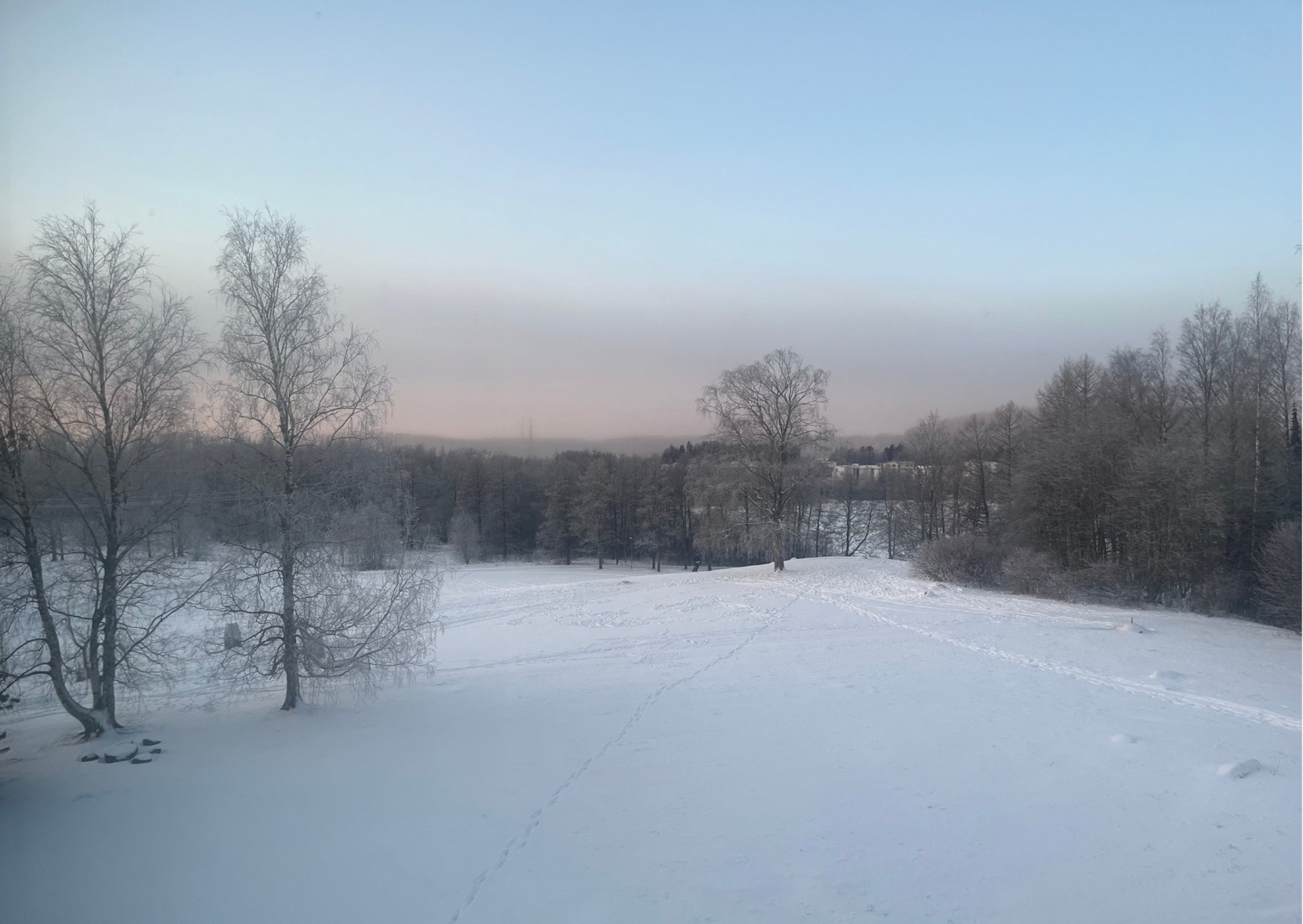 an abstract photo of a curved building with a blue sky in the background