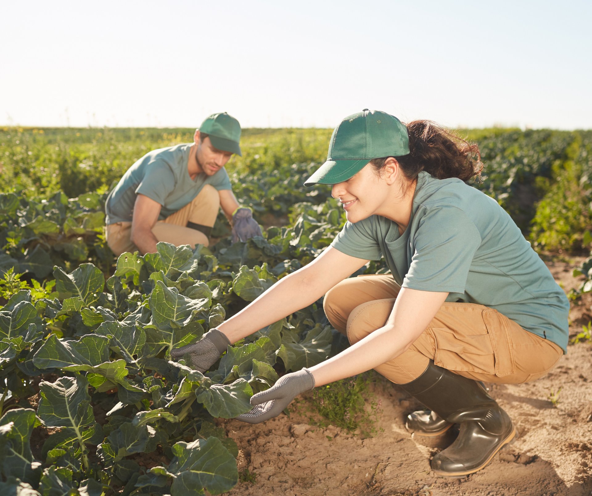 black and brown leather padded tub sofa
