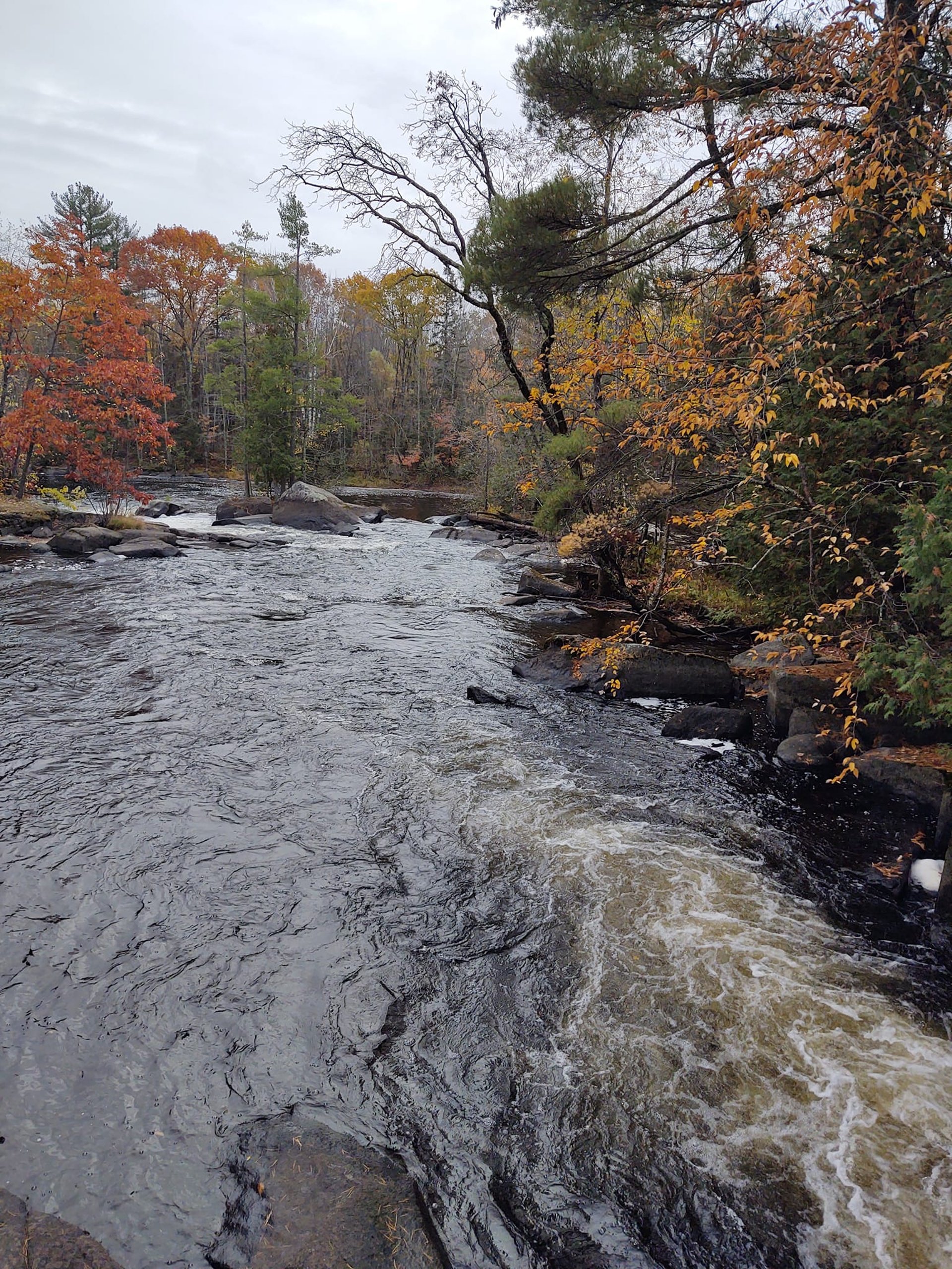 black vehicle on snow