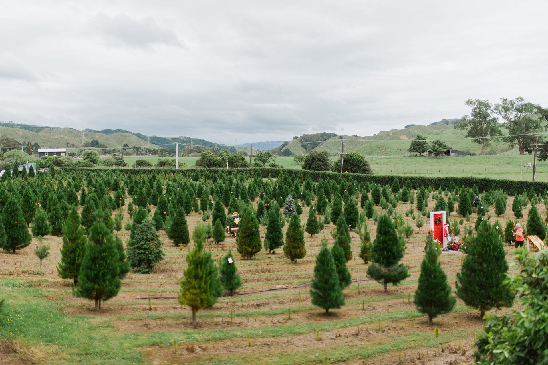 woman wearing yellow long-sleeved dress under white clouds and blue sky during daytime
