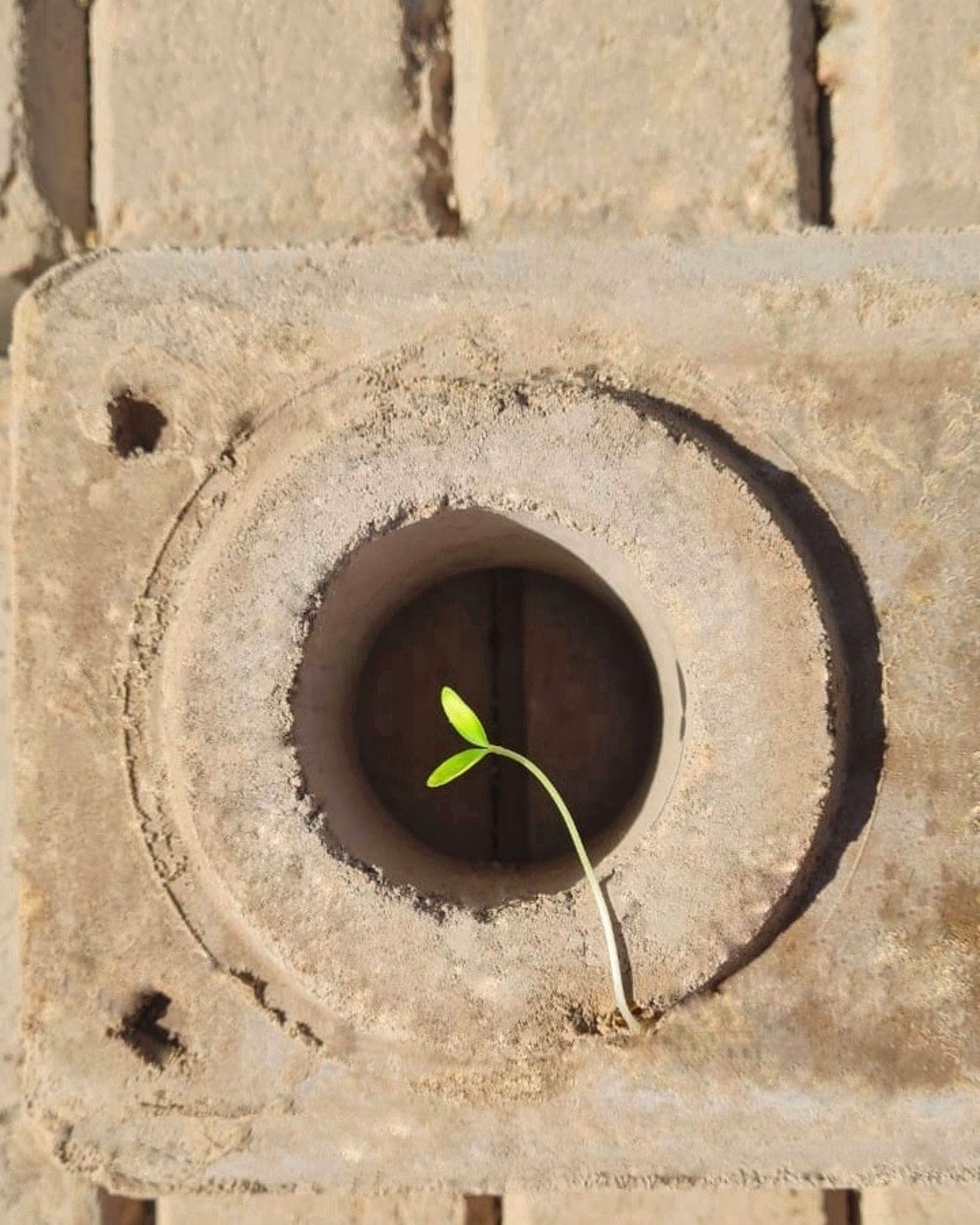 gray computer monitor