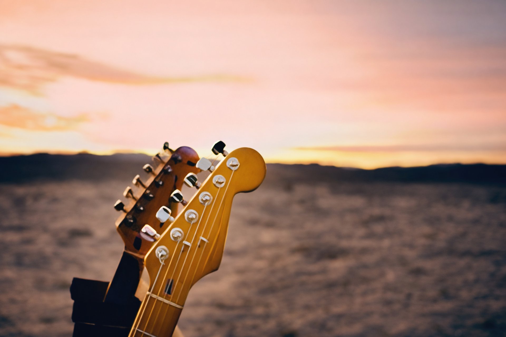 brown and black electric guitar