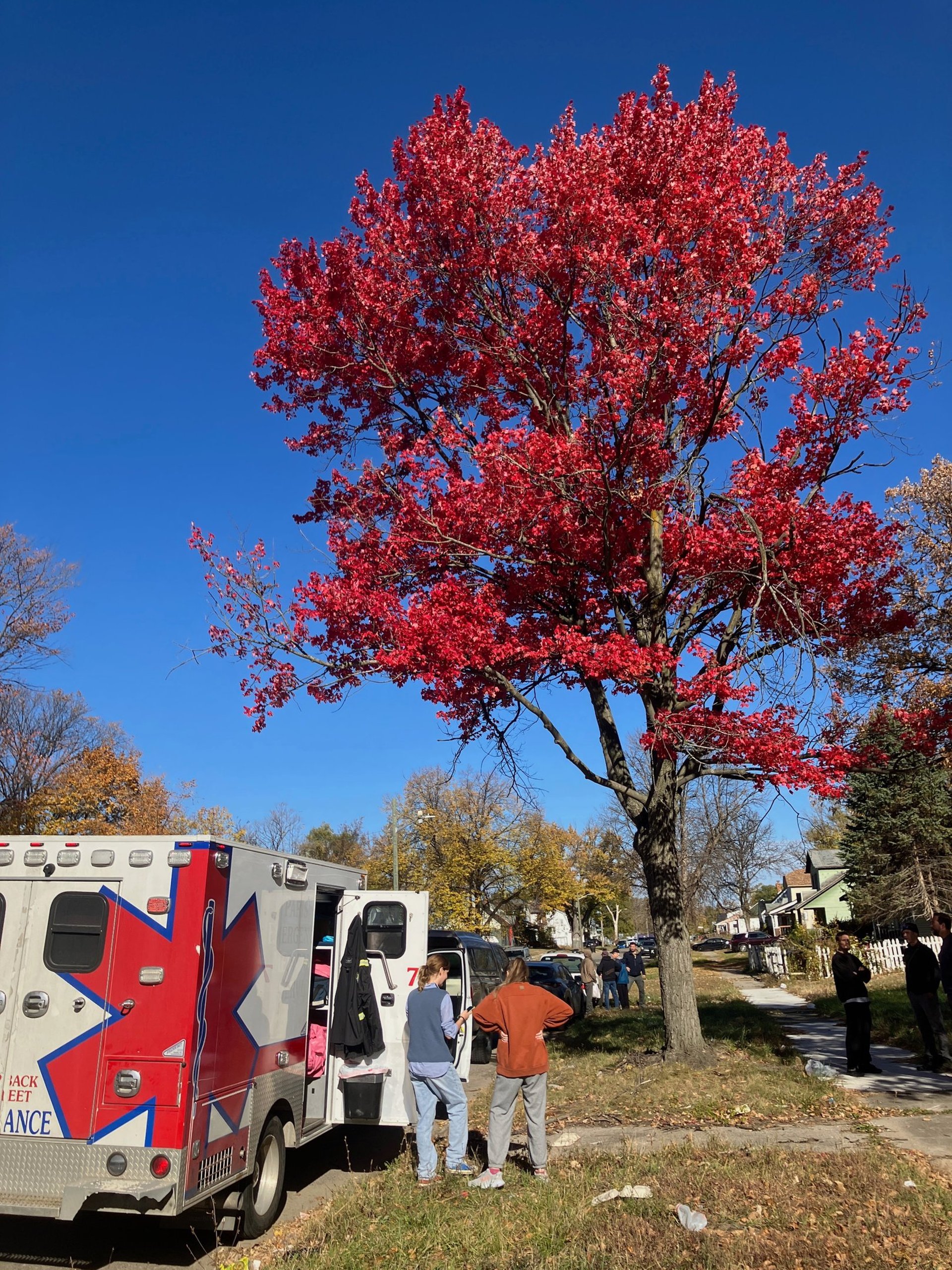 black blue and yellow textile