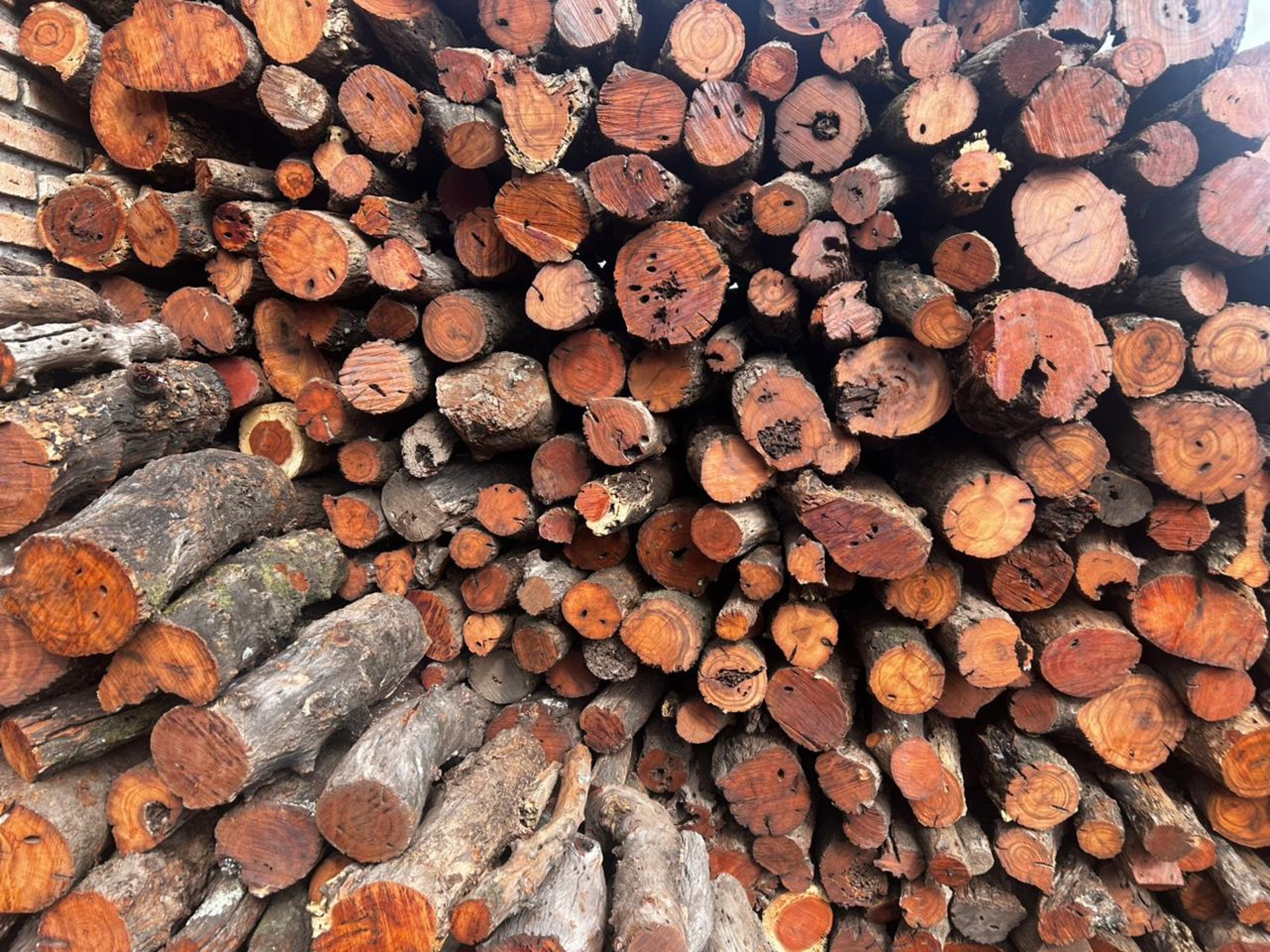 a pile of wood sitting next to a pile of shovels