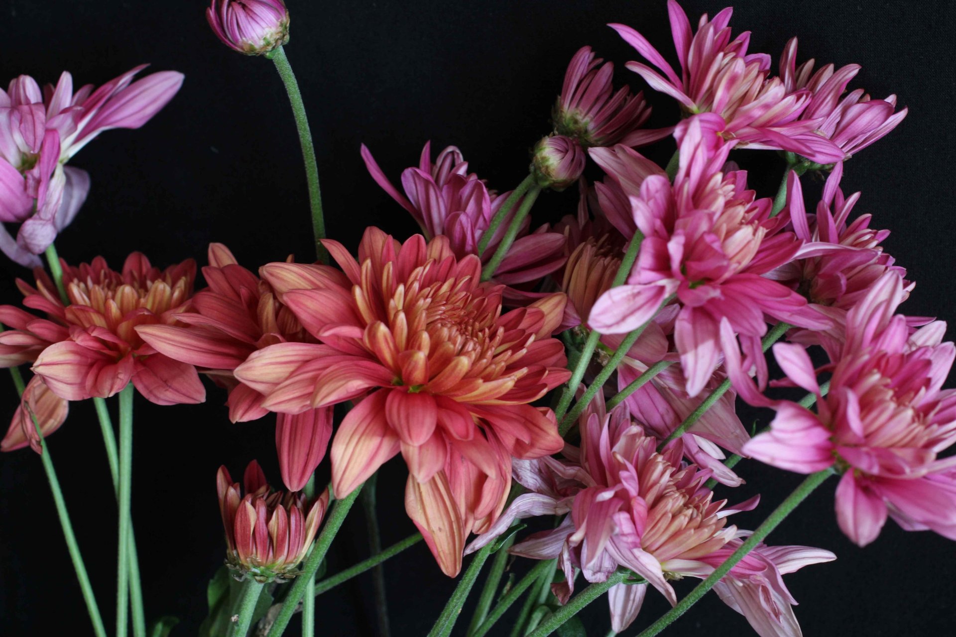 black blue and yellow textile