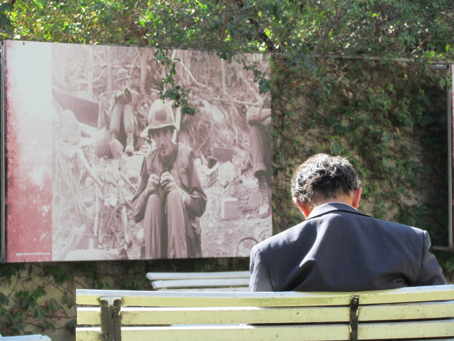 black blue and yellow textile