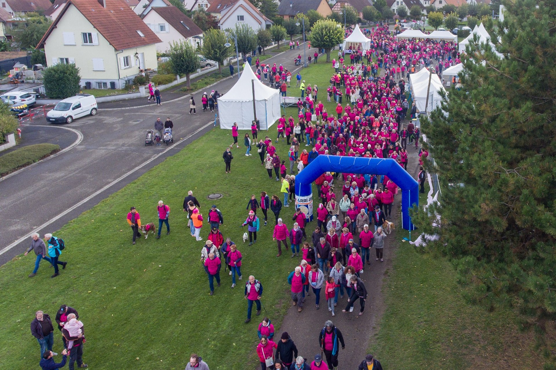 an abstract photo of a curved building with a blue sky in the background