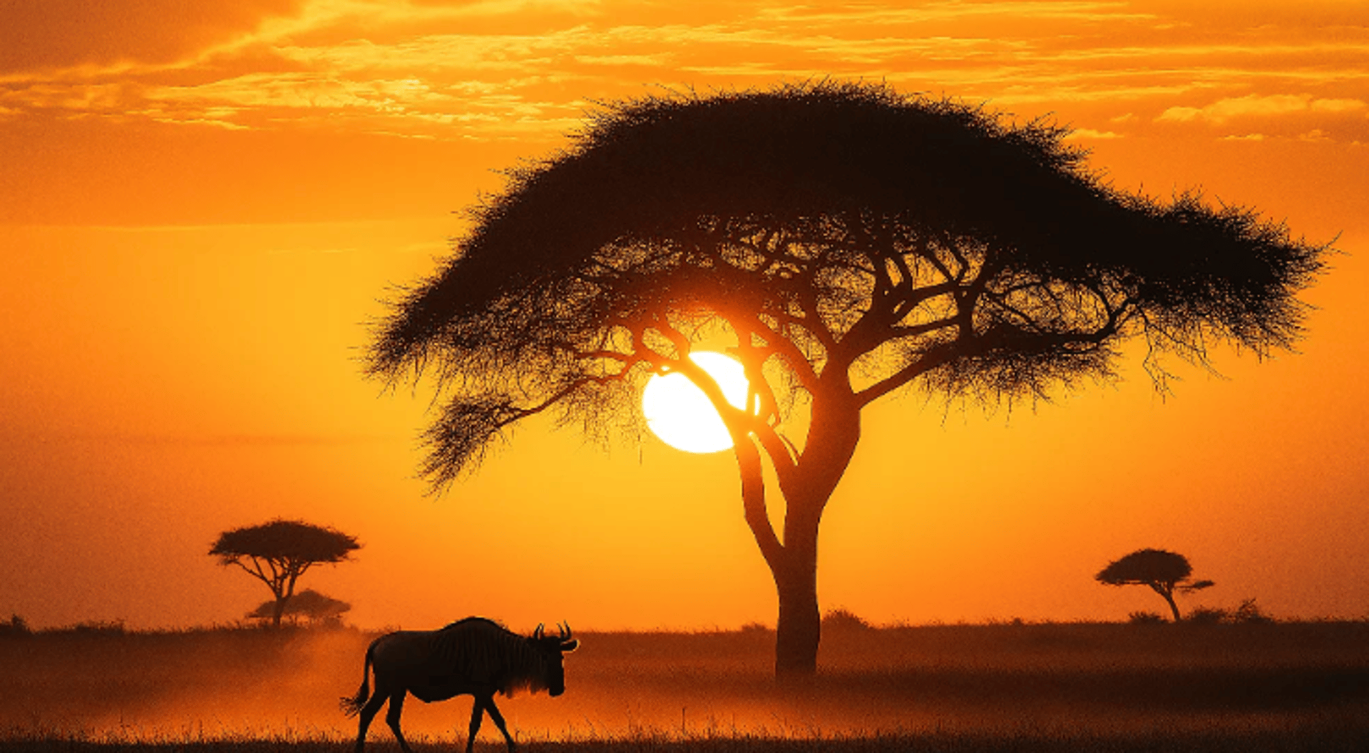 girl in blue shirt lying on white textile
