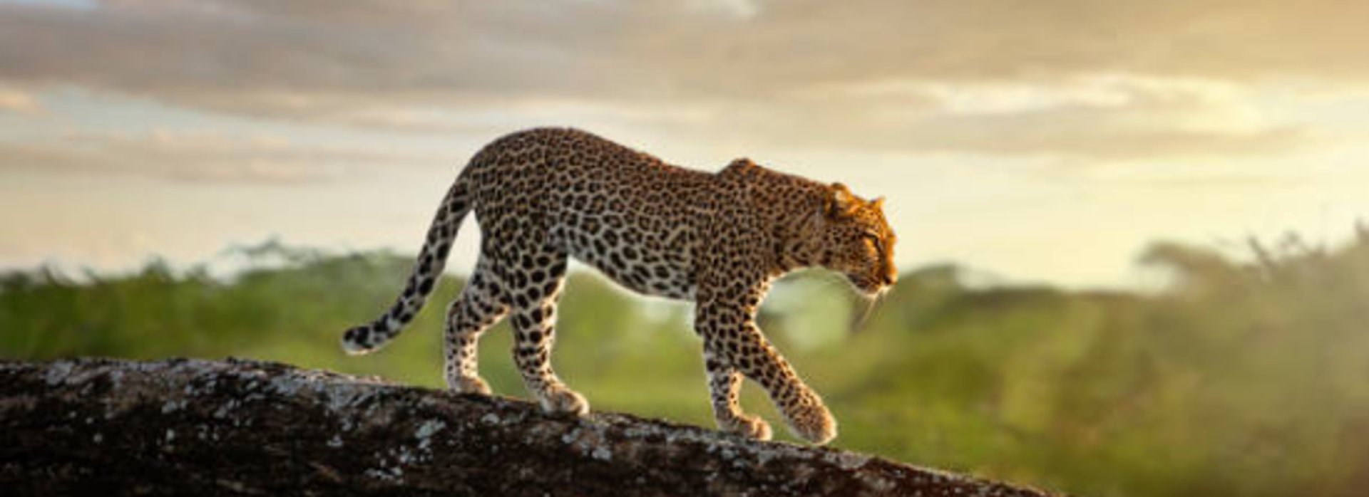 girl in blue shirt lying on white textile