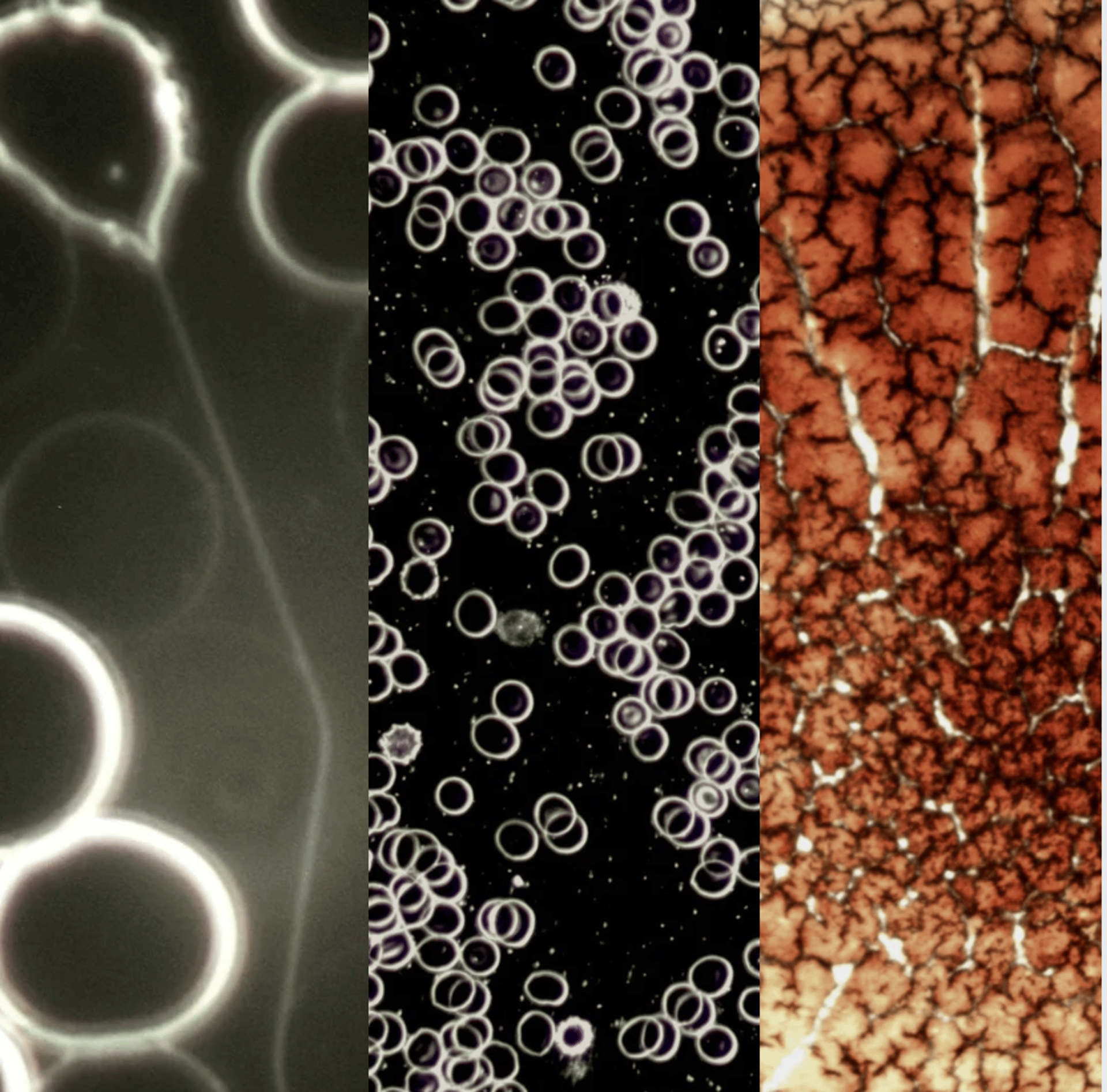 black blue and yellow textile