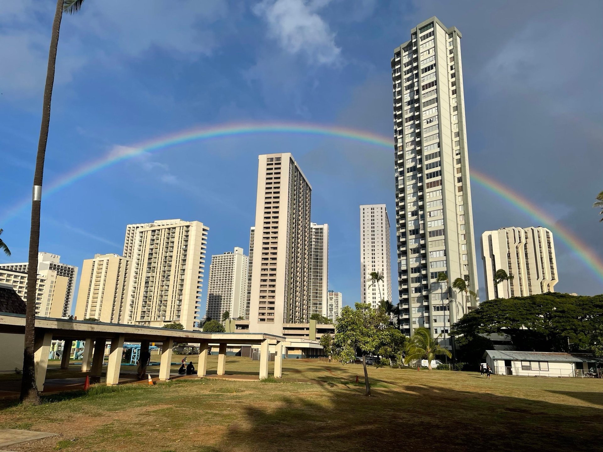 black blue and yellow textile