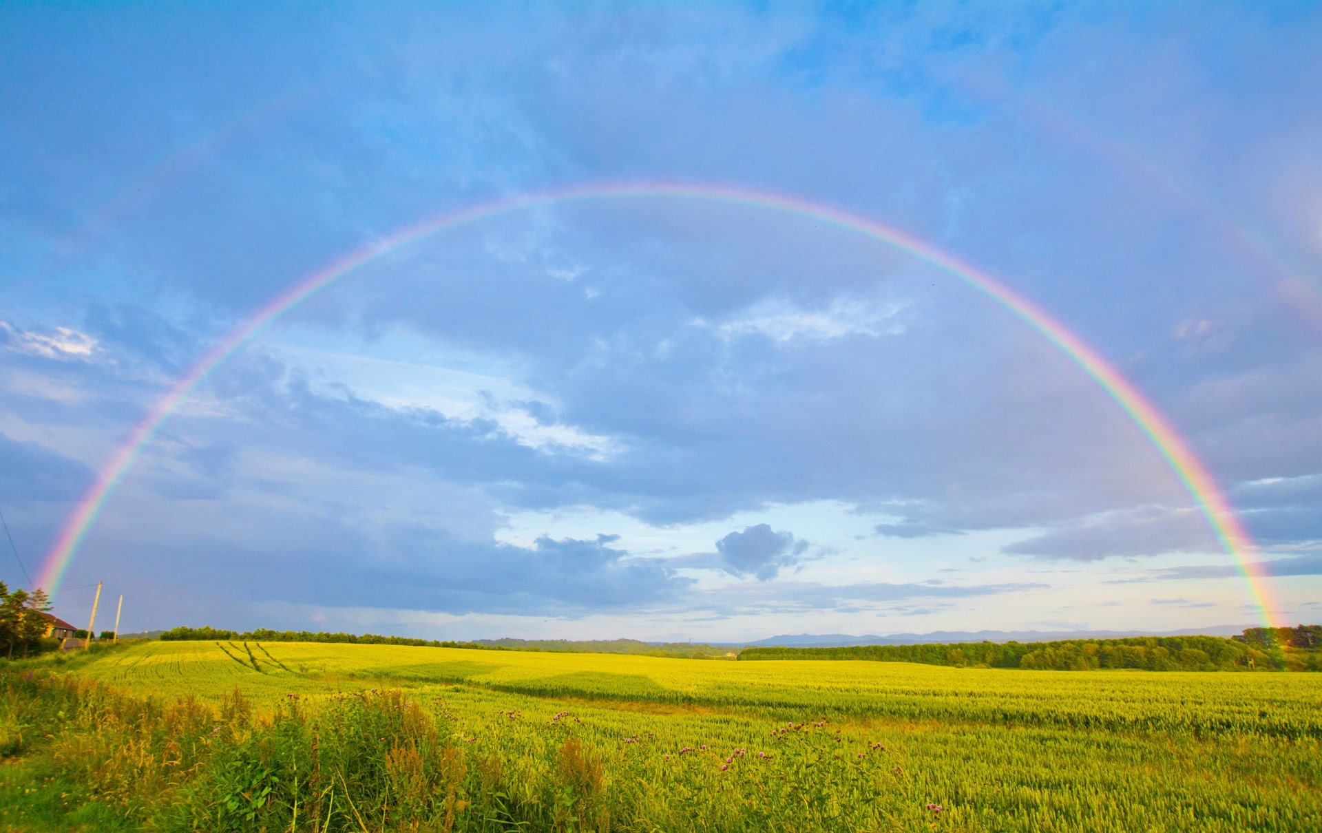 green grass field under white clouds and rainbow