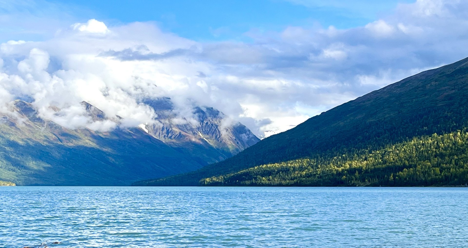 black and brown leather padded tub sofa