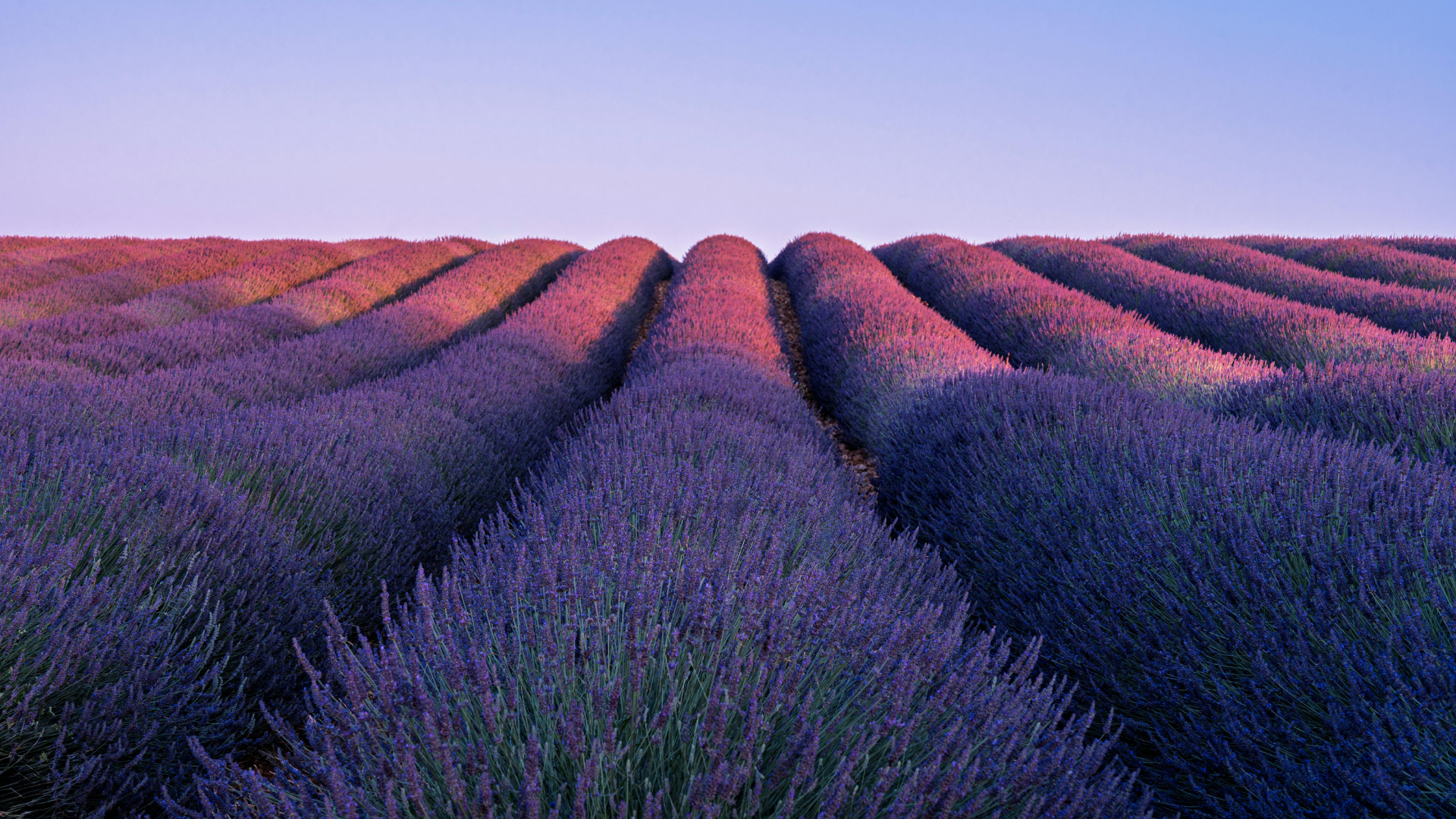 an abstract photo of a curved building with a blue sky in the background