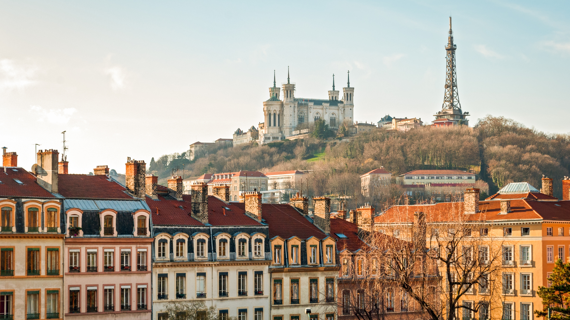 group of people sitting beside rectangular wooden table with laptops