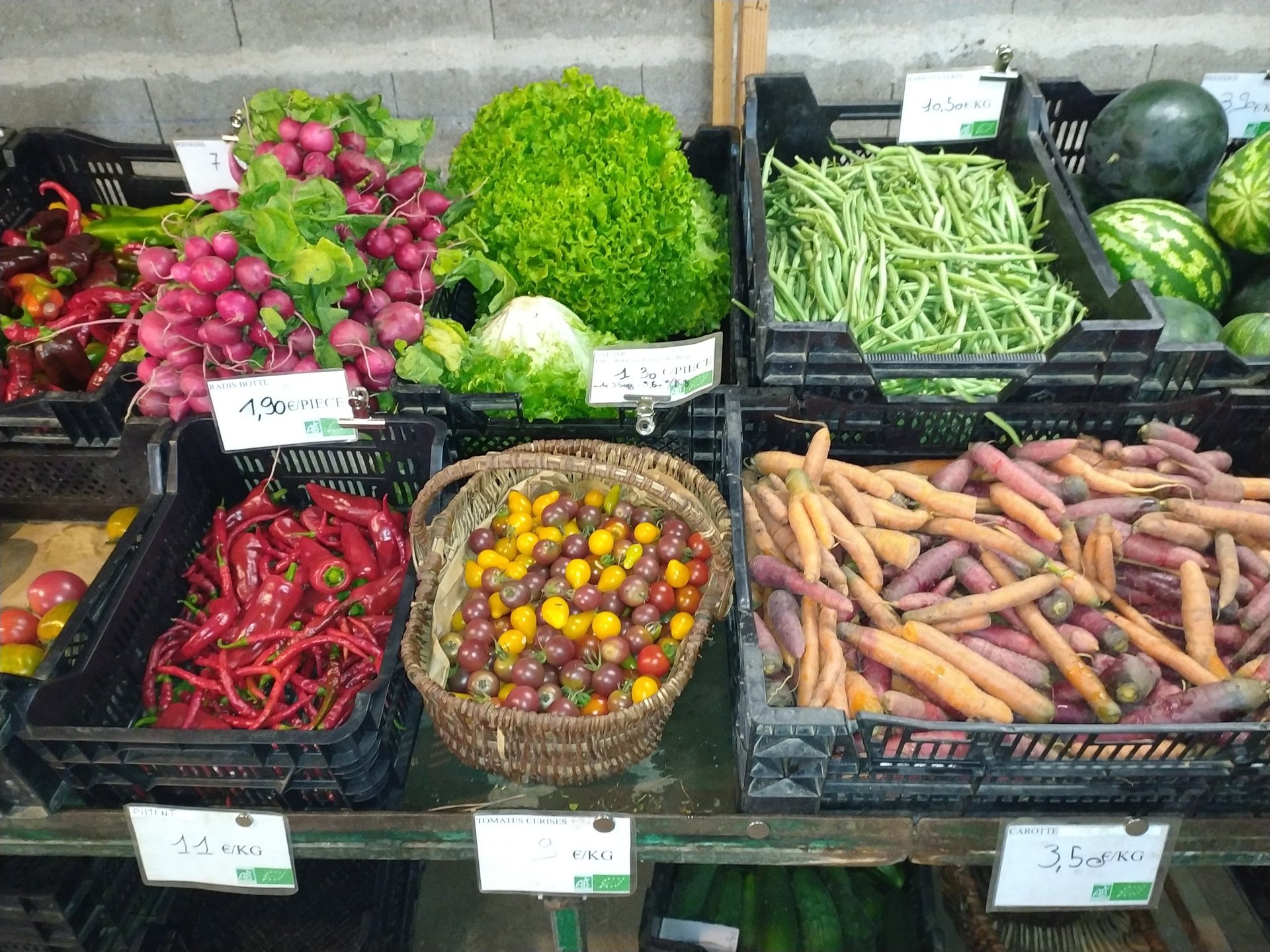 woman wearing yellow long-sleeved dress under white clouds and blue sky during daytime