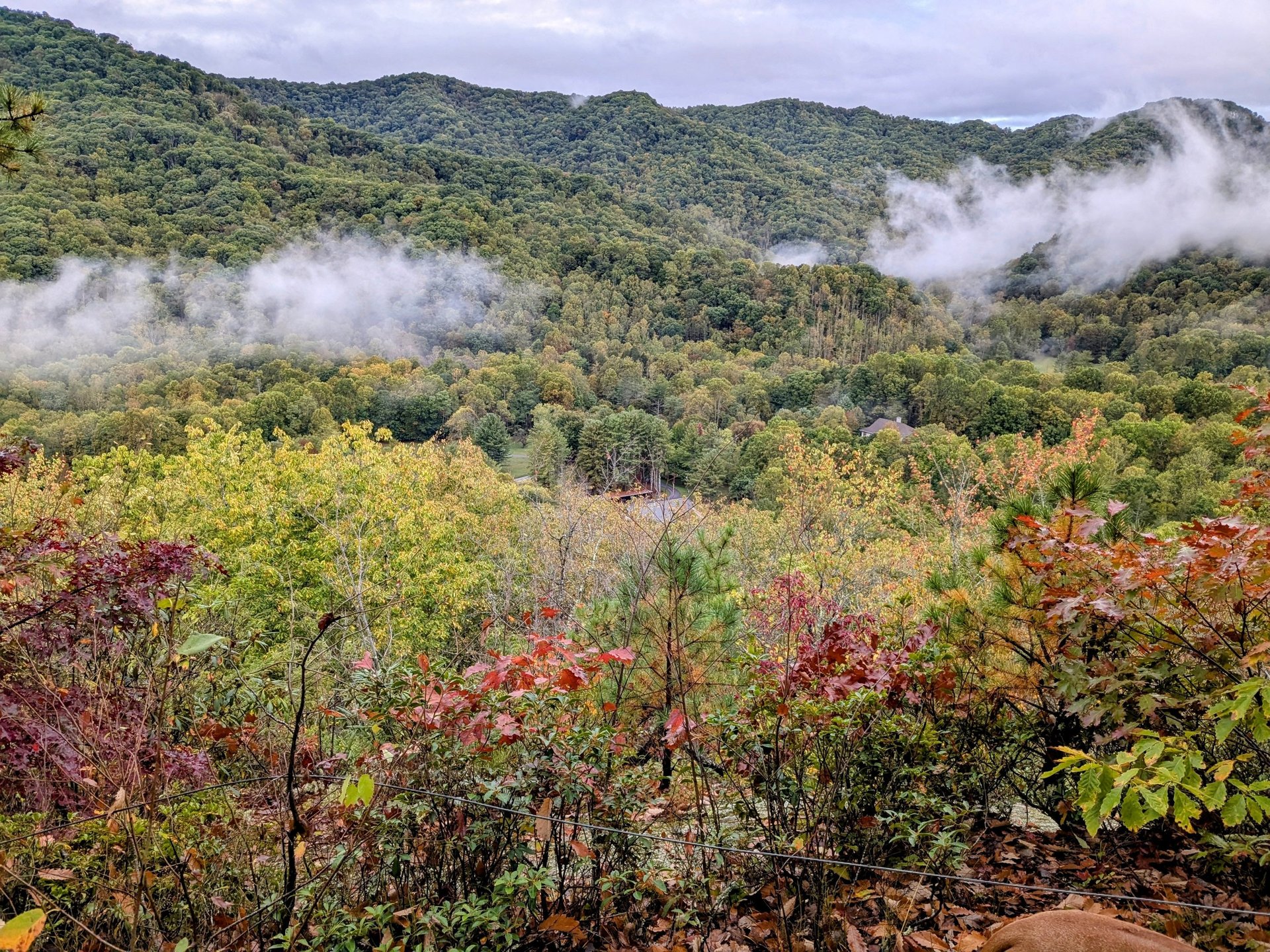 black and white bed linen
